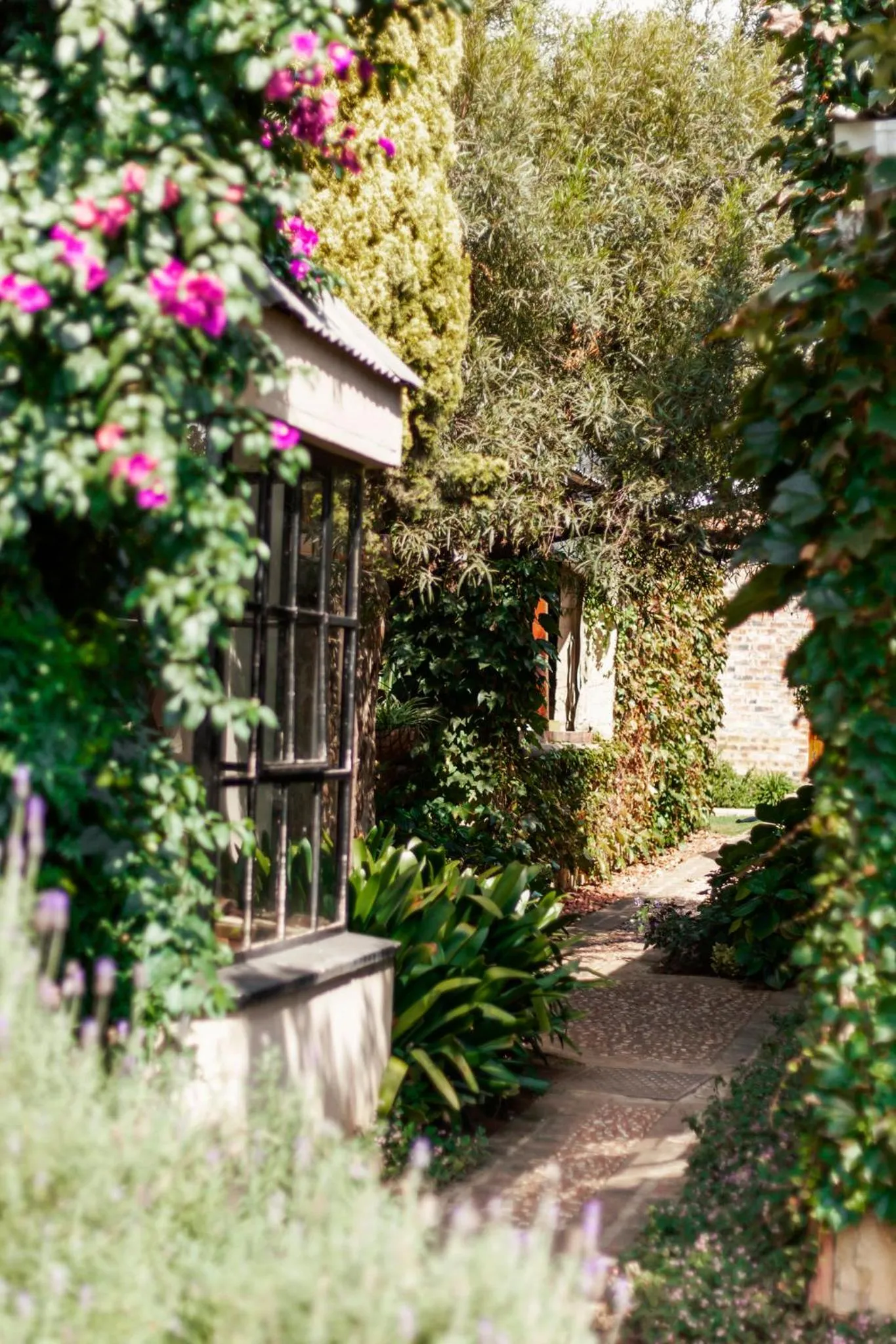 Town and Country Mpumalanga