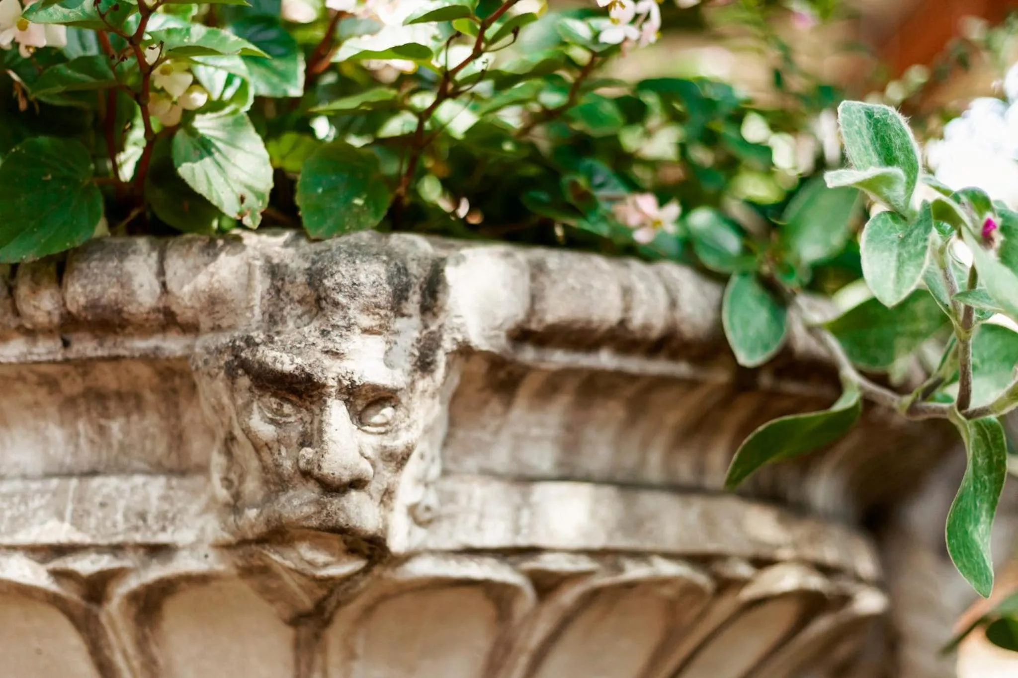 Town and Country Mpumalanga