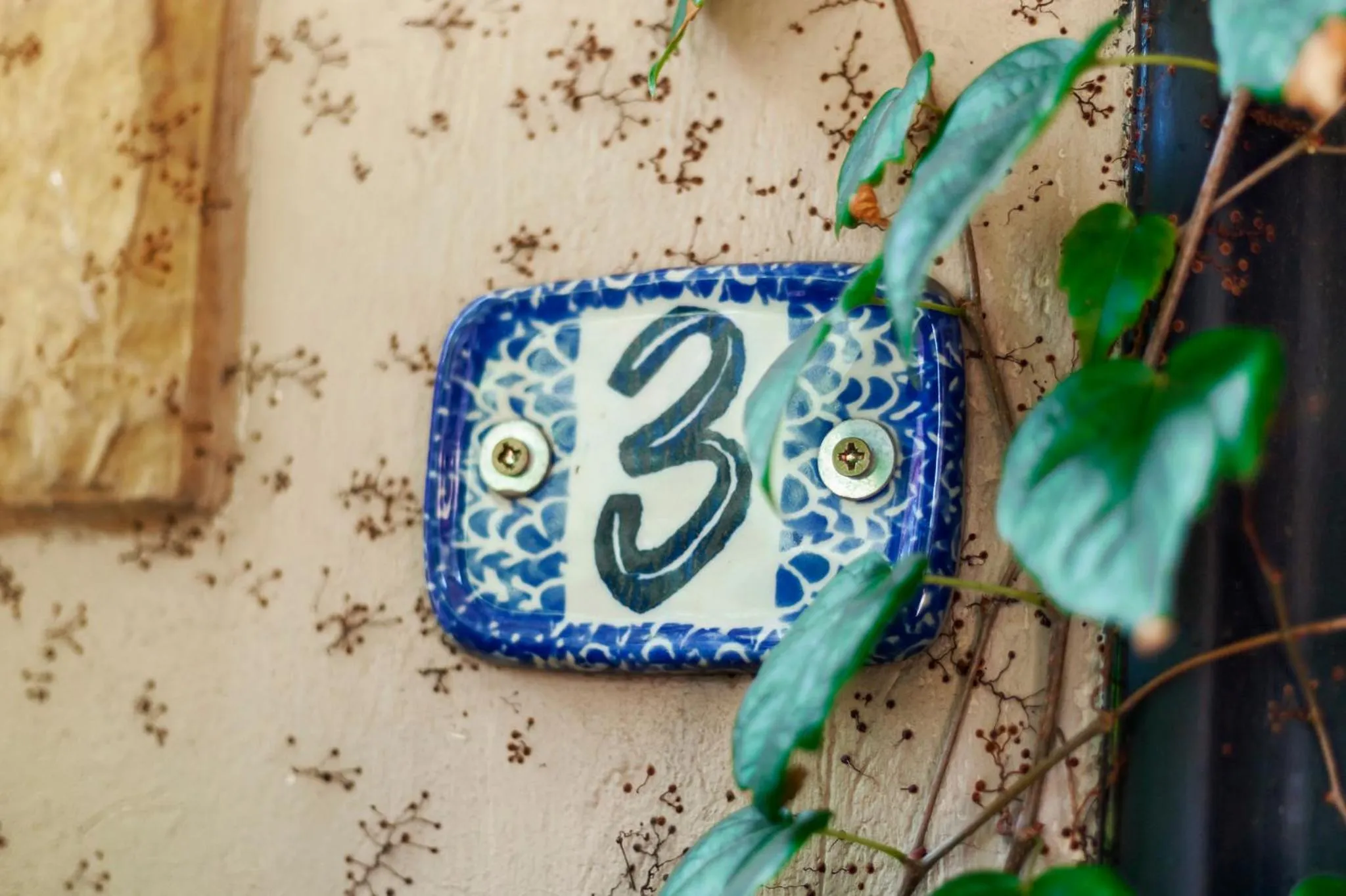 Town and Country Mpumalanga