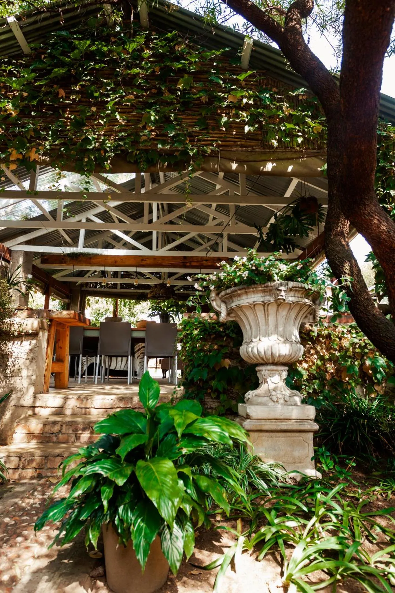 Town and Country Mpumalanga