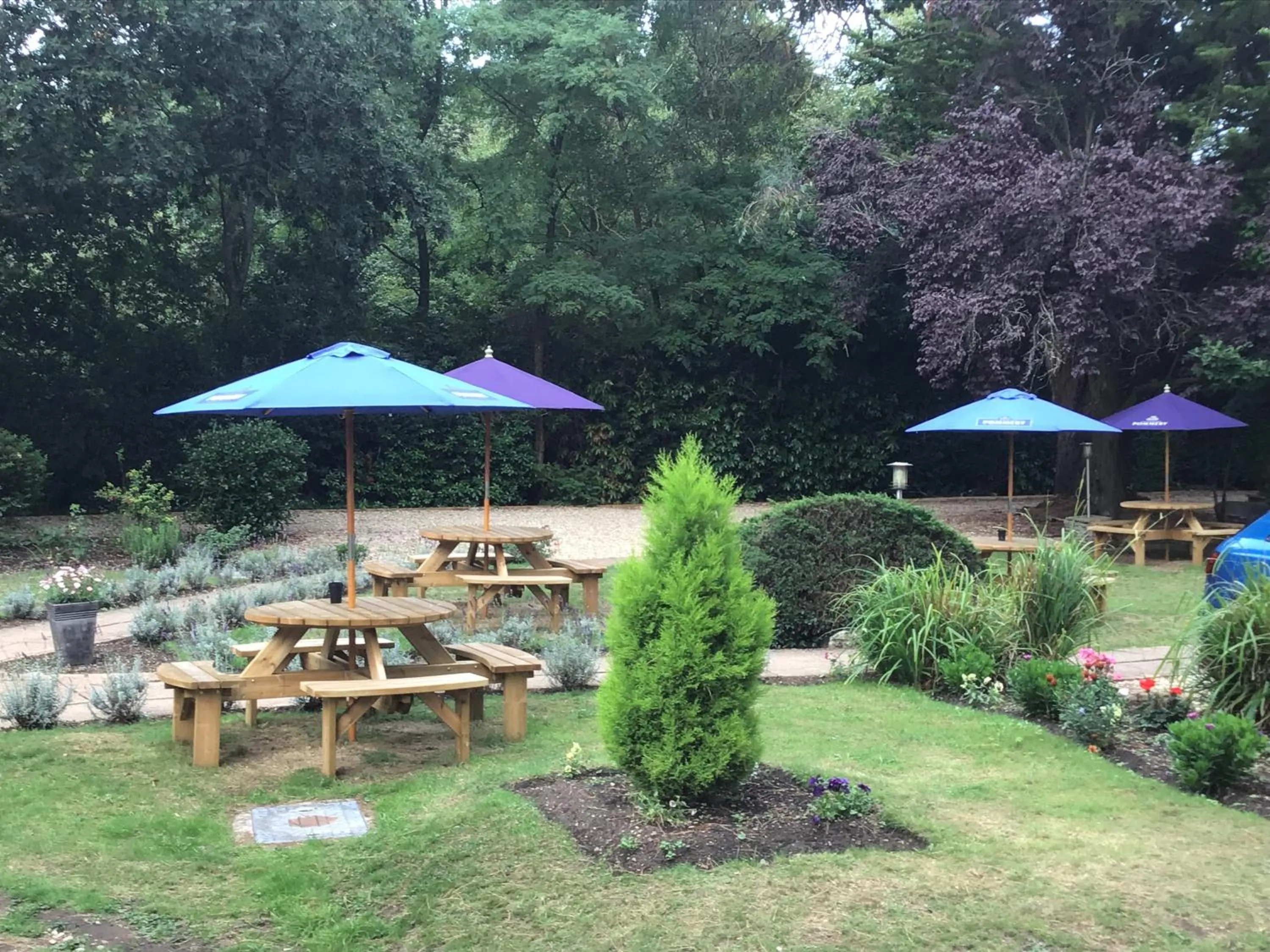 Garden in Le Chateau