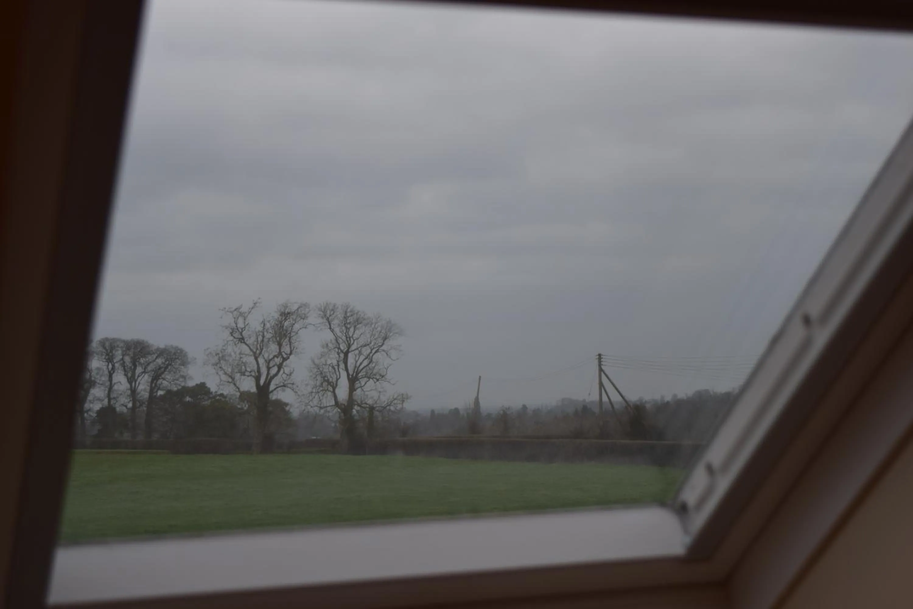 Natural landscape in Hillview Lodge