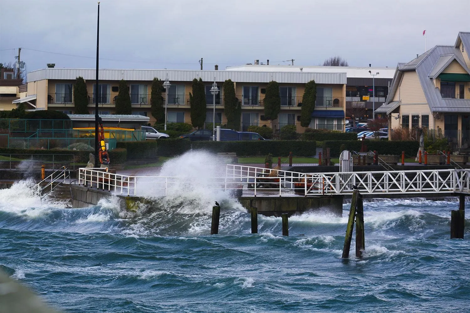 Sea view in Sidney Waterfront Inn & Suites