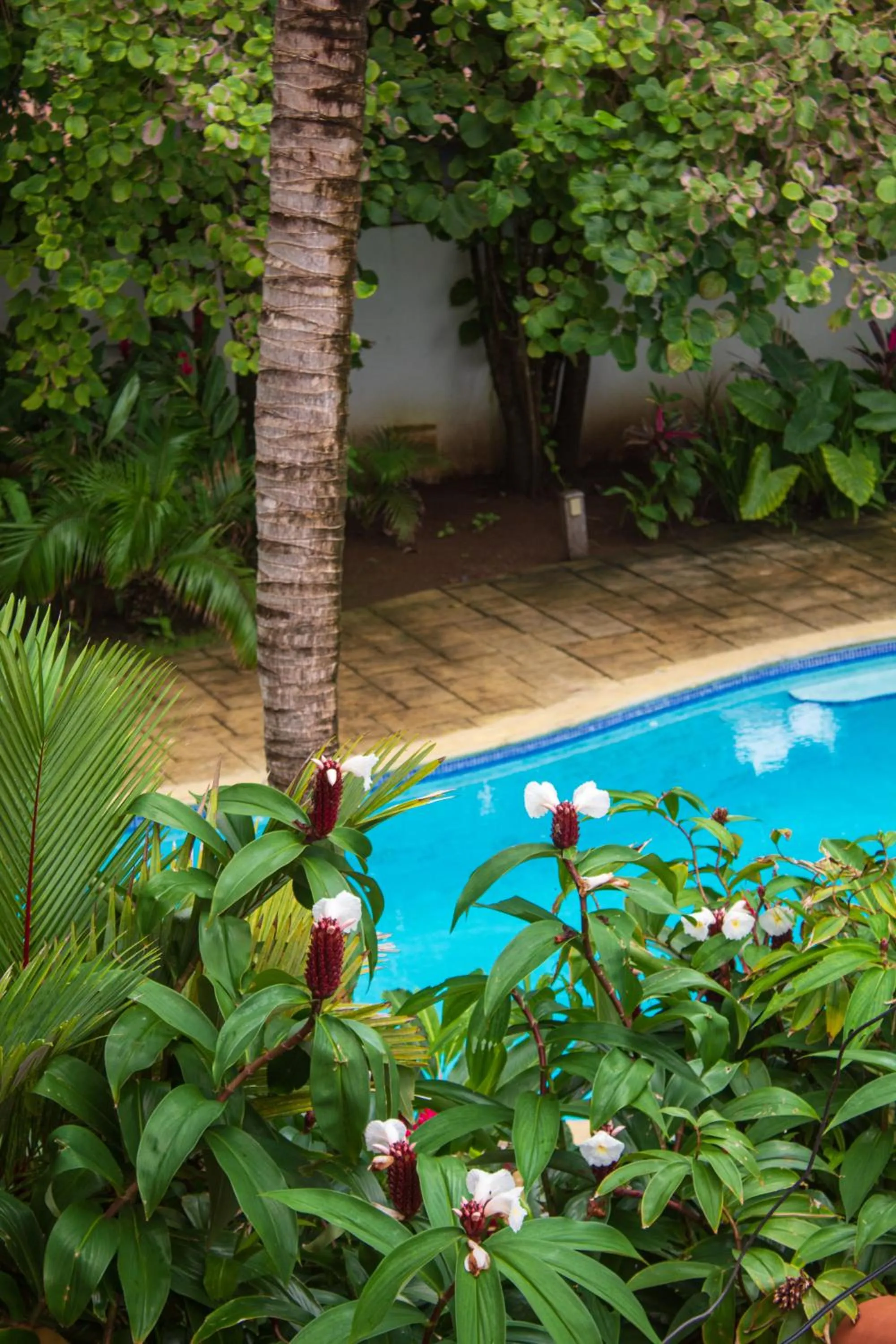 Property building in Hotel Playa Cambutal