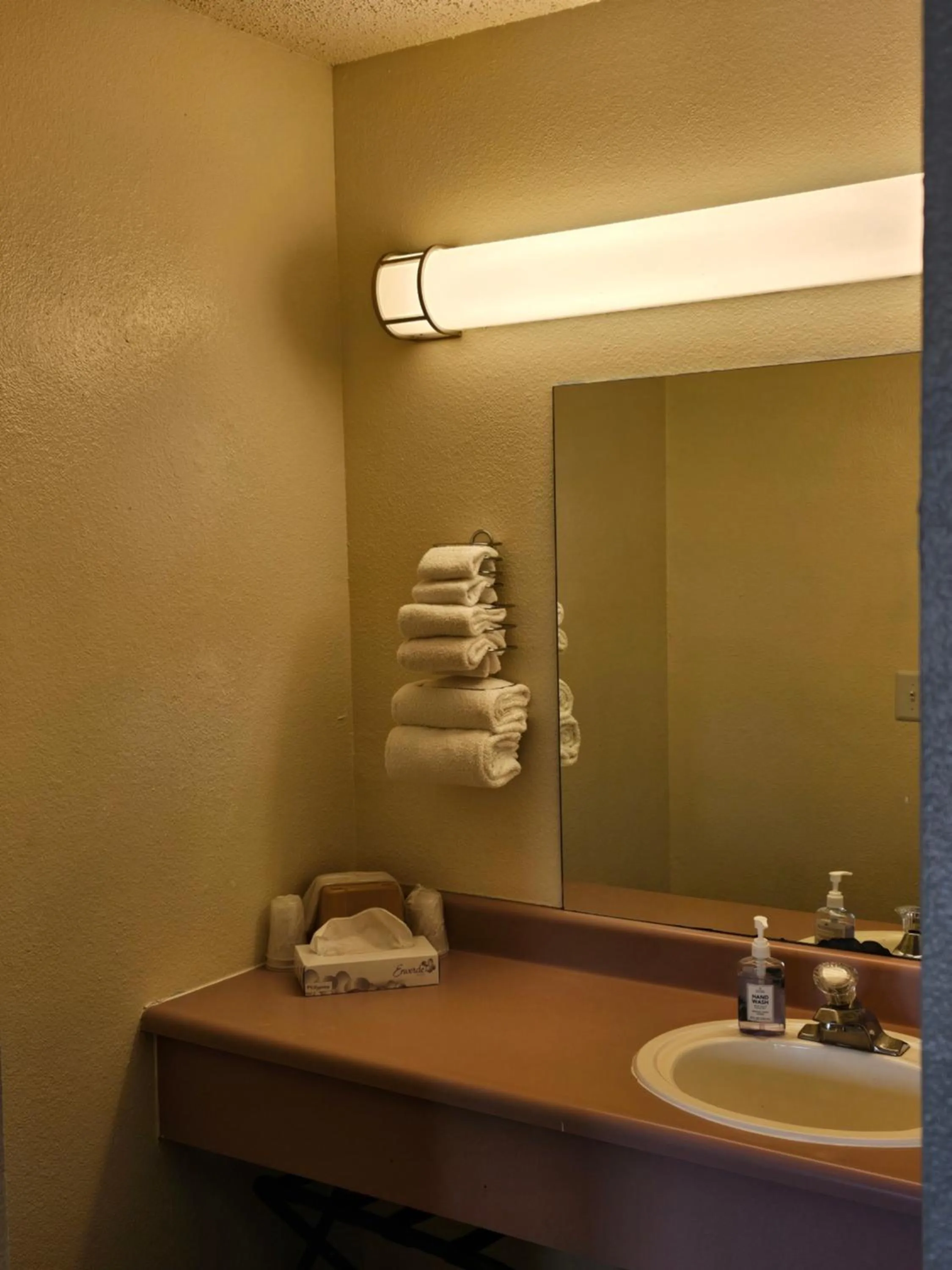 Bathroom in Sumner Motor Inn