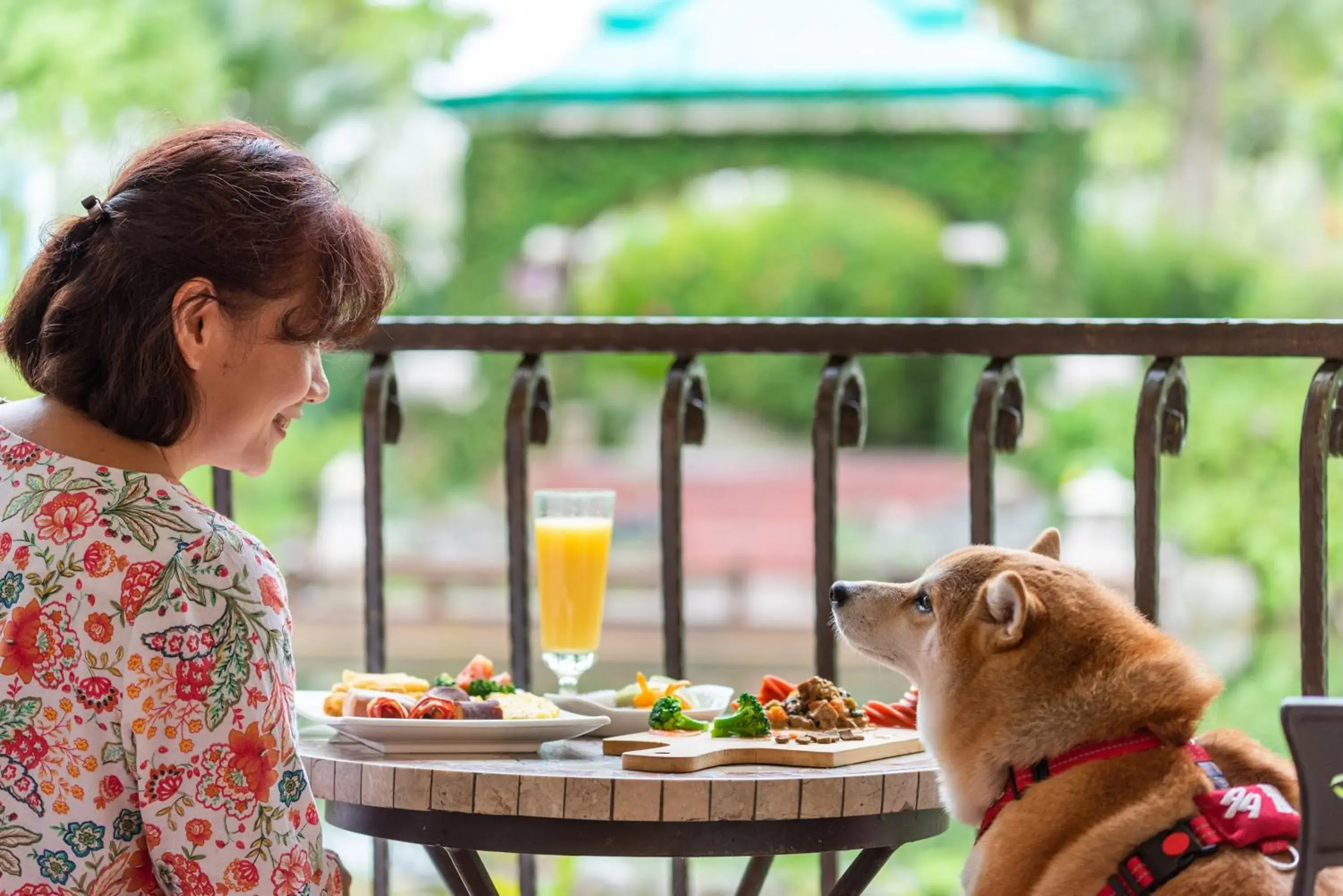 Pet Friendly Double Room in Promisedland Resort & Lagoon Pet Friendly Double Room in Promisedland Resort & Lagoon