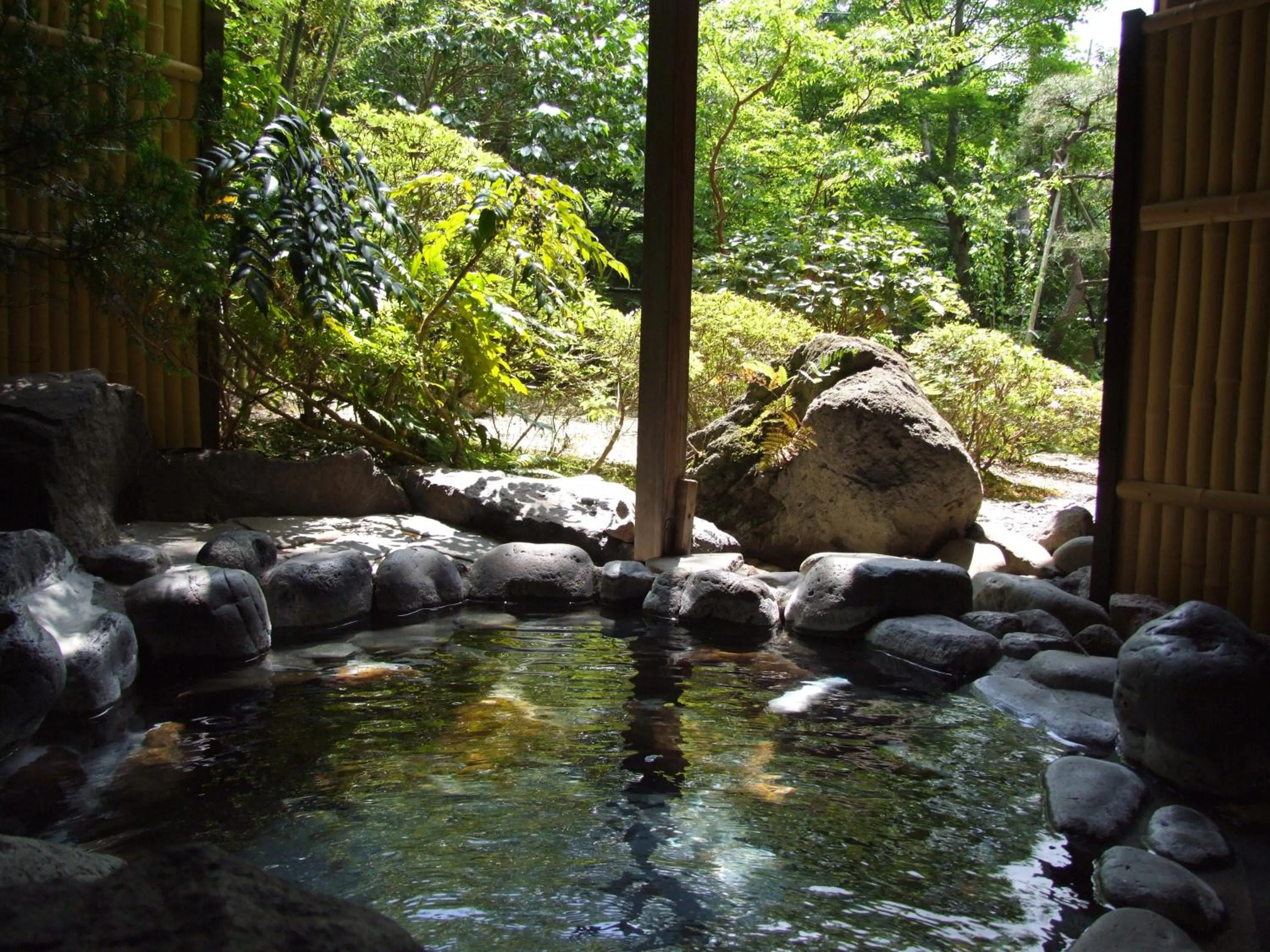 Photo of the whole room in Yoshimatsu