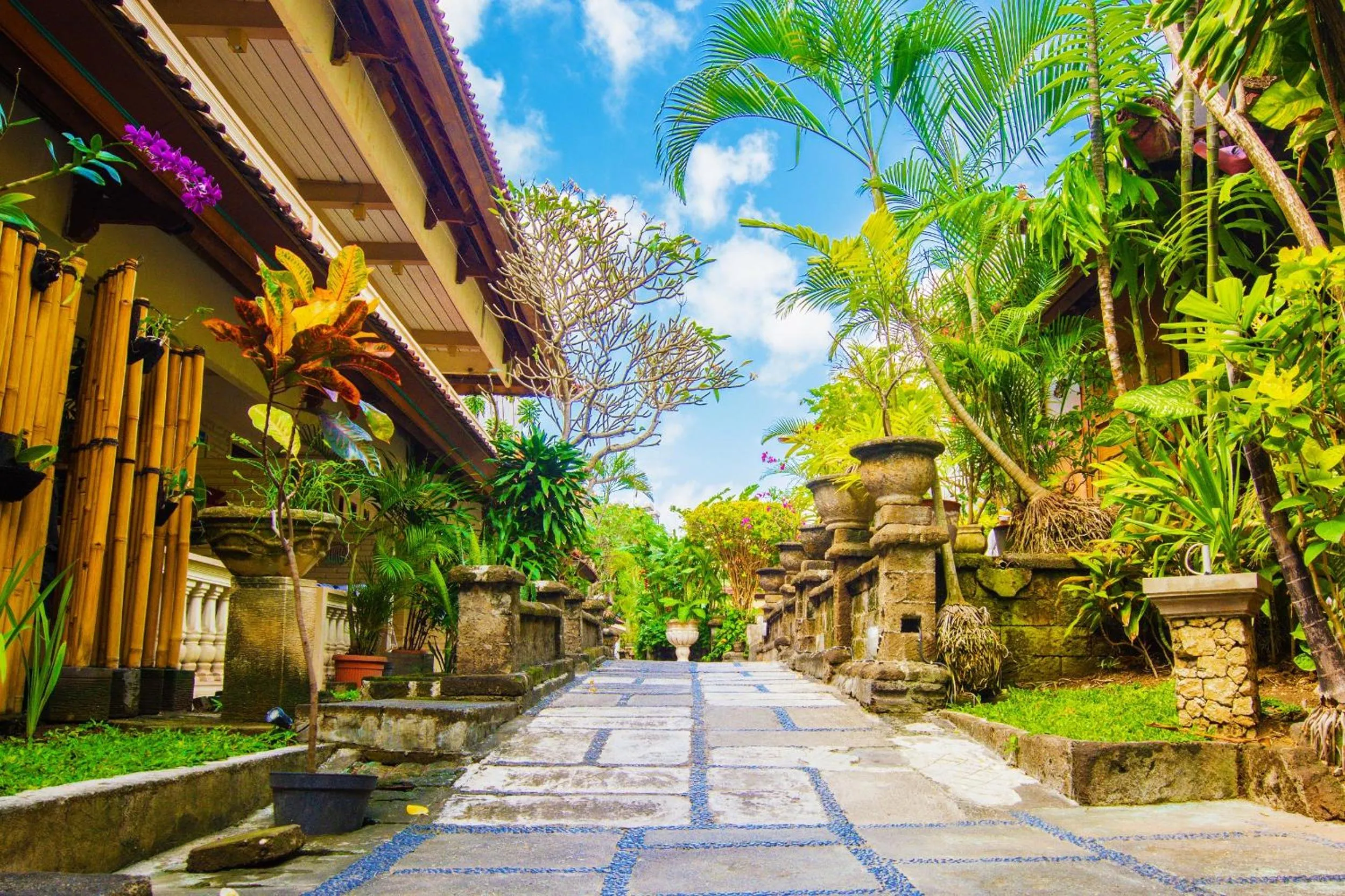 Natural landscape in Restu Bali Hotel
