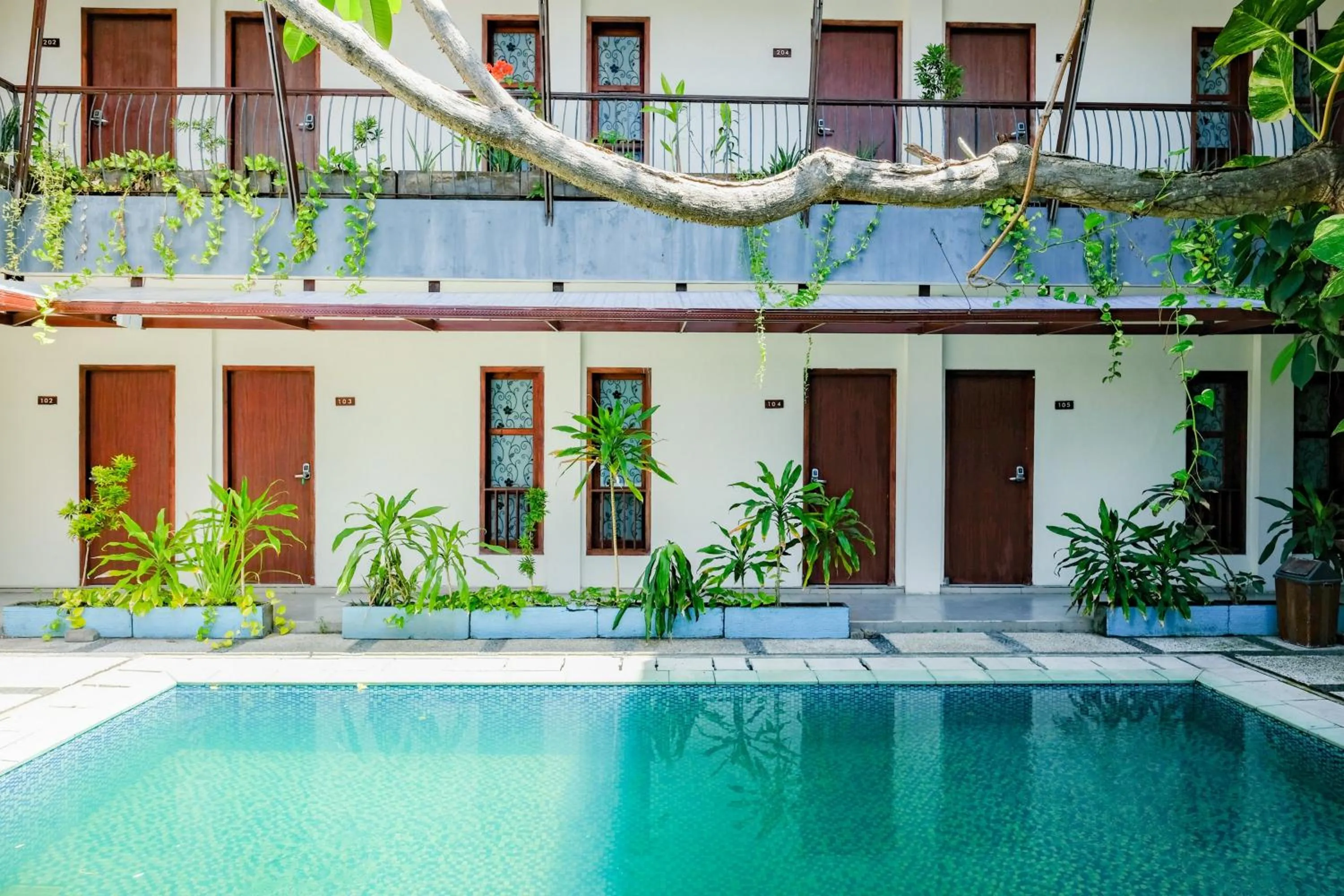 Swimming pool in RedDoorz near Legian Street