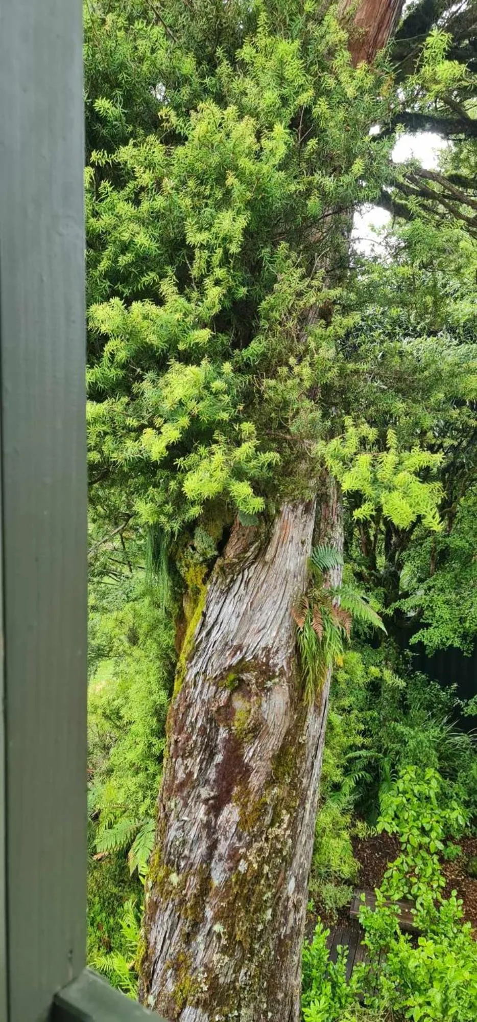 Natural landscape in Alpine Chalets
