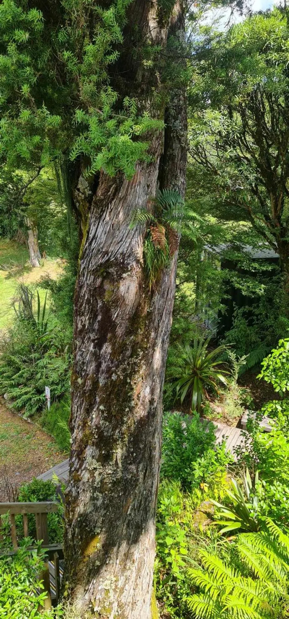 Natural landscape in Alpine Chalets