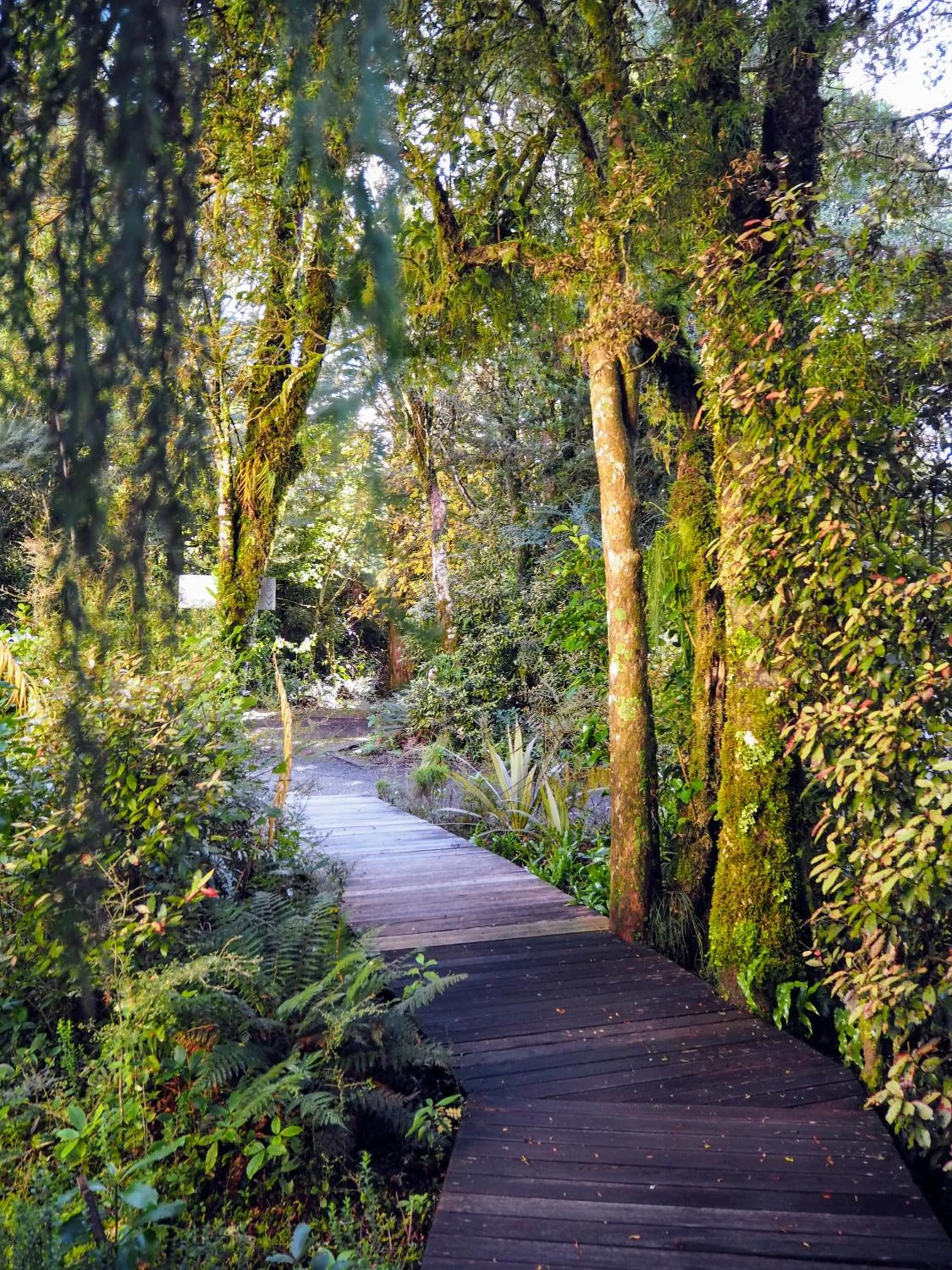 Garden in Alpine Chalets