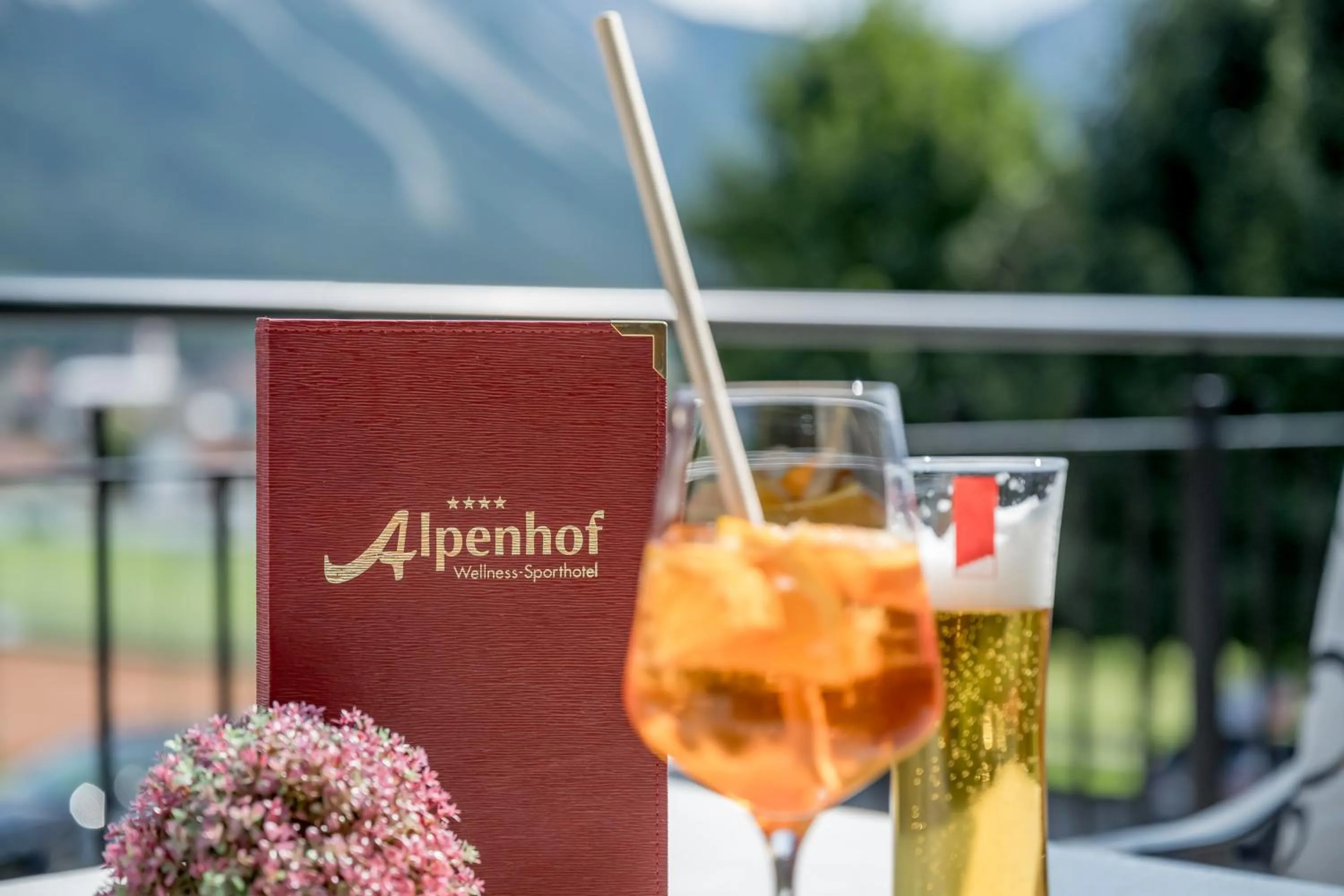 Balcony/Terrace in Wellness & Sporthotel Alpenhof
