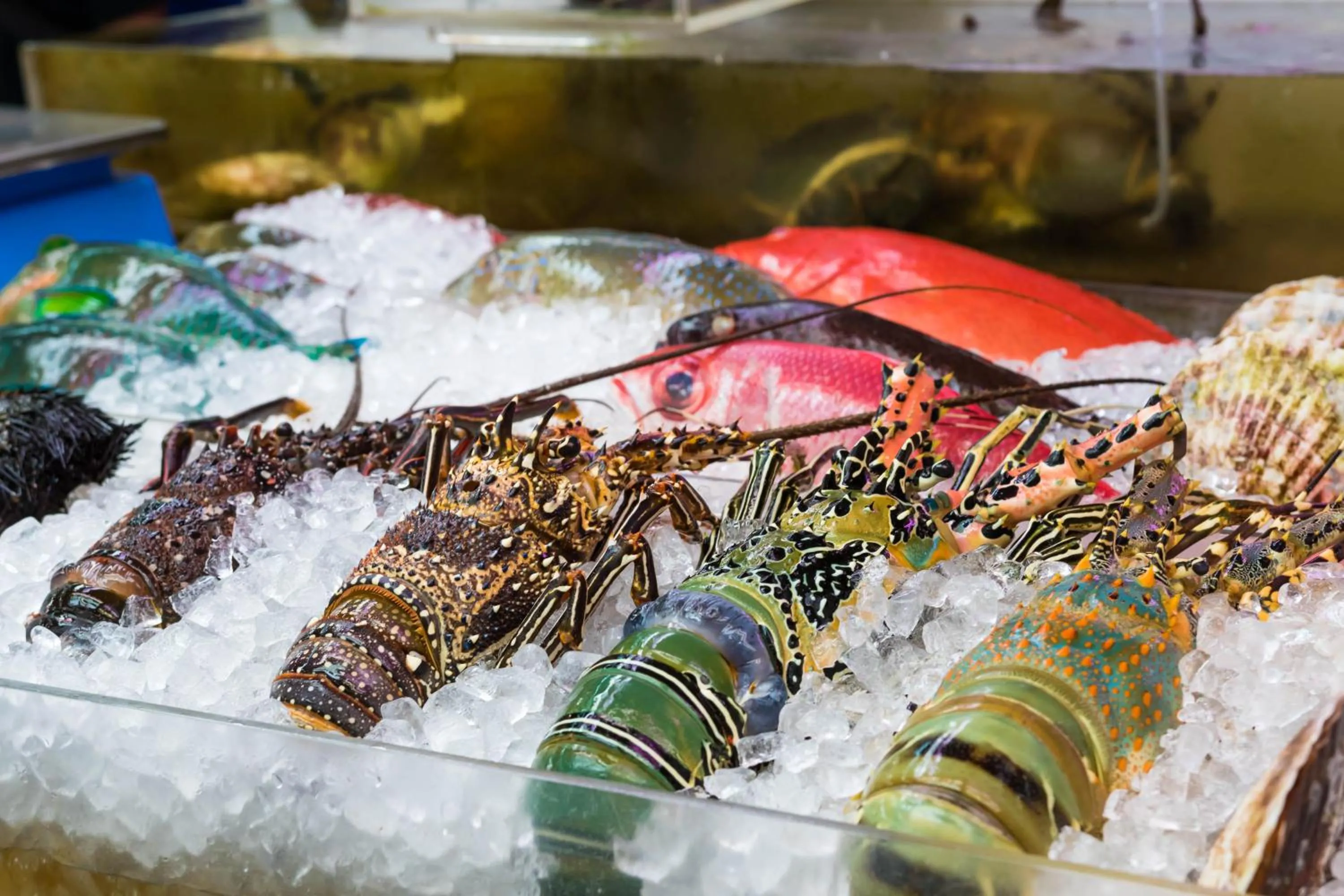 Other in Hotel From Okinawa