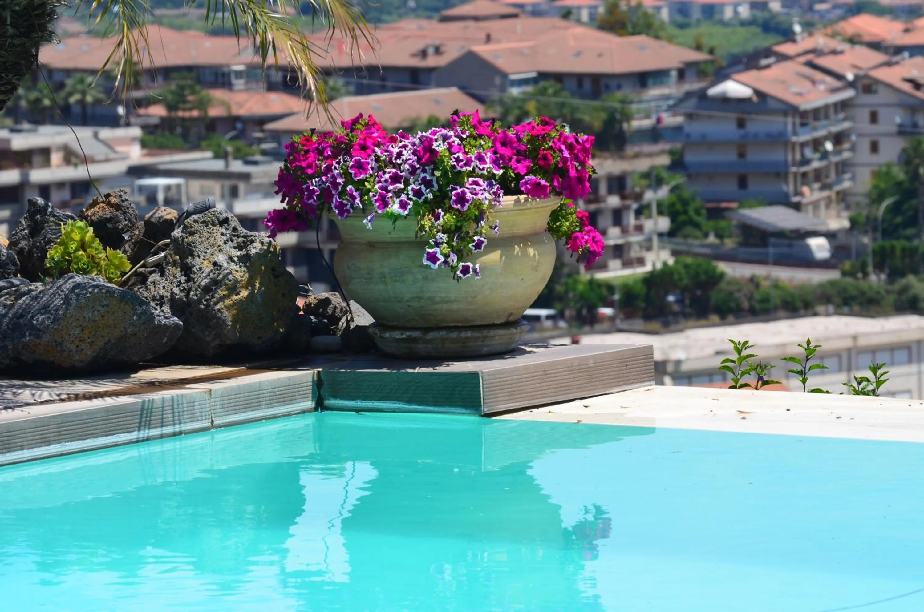 Swimming pool in La casa del panorama