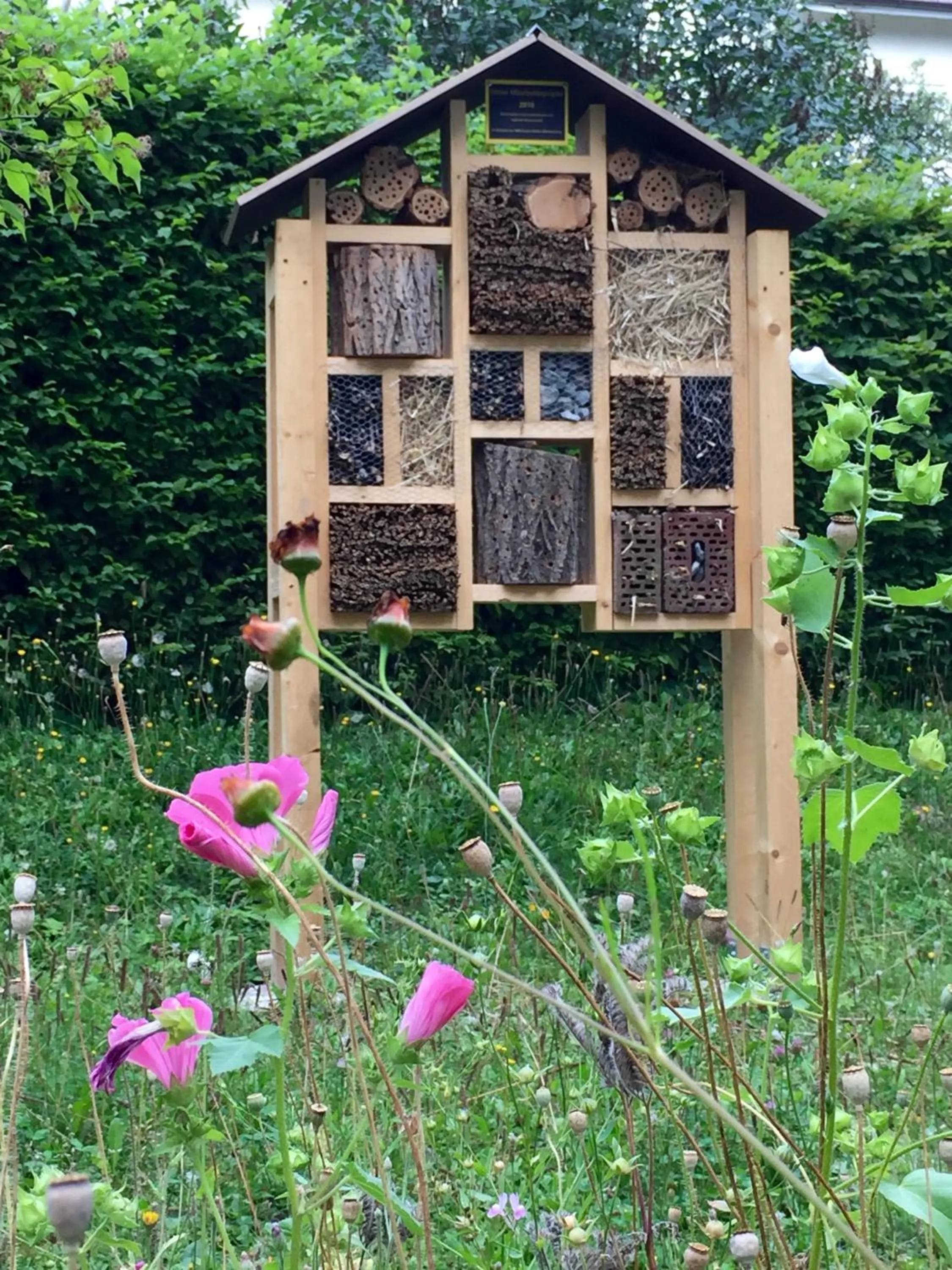 Garden view in Akademie der Dioezese