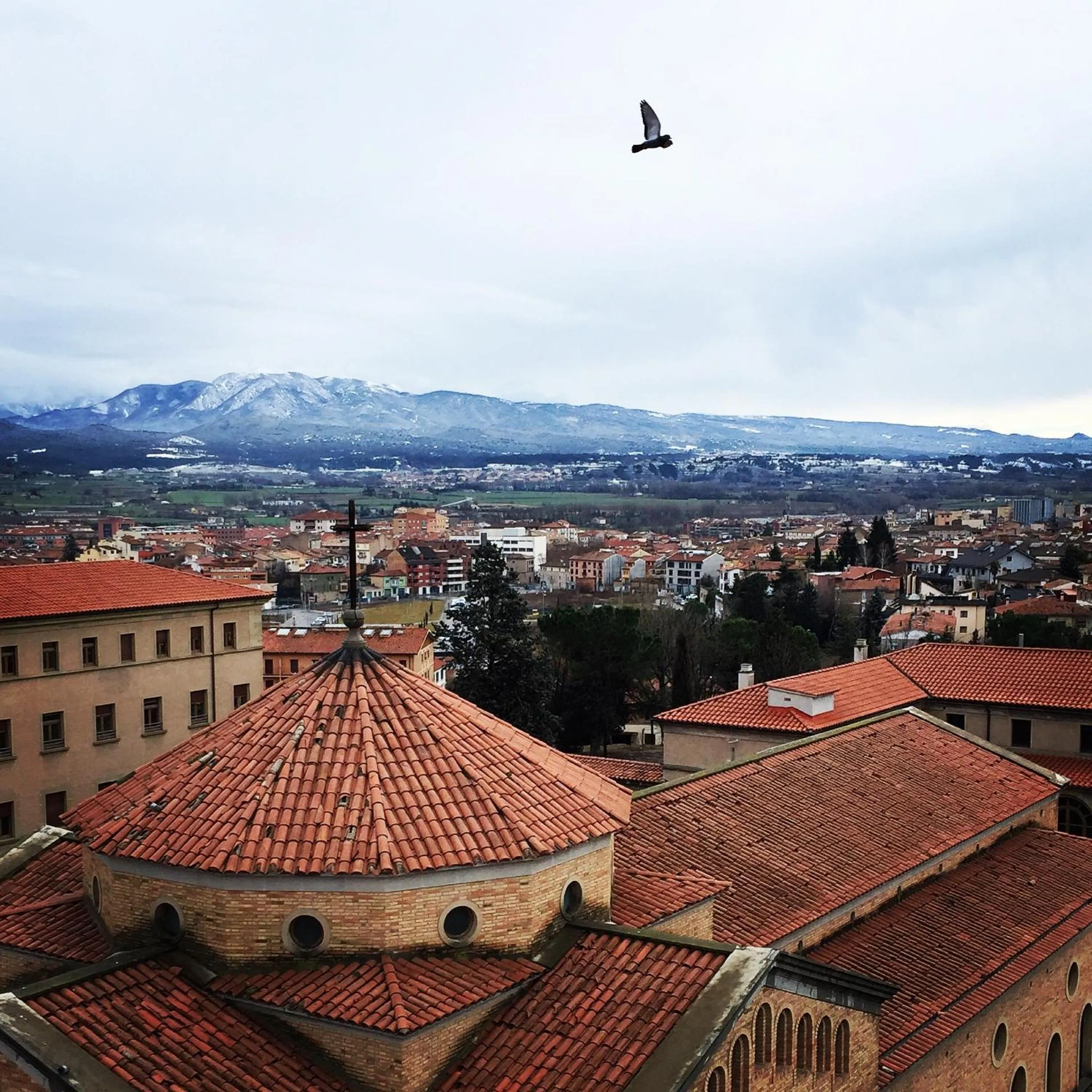 Bird's eye view in Seminari Allotjaments