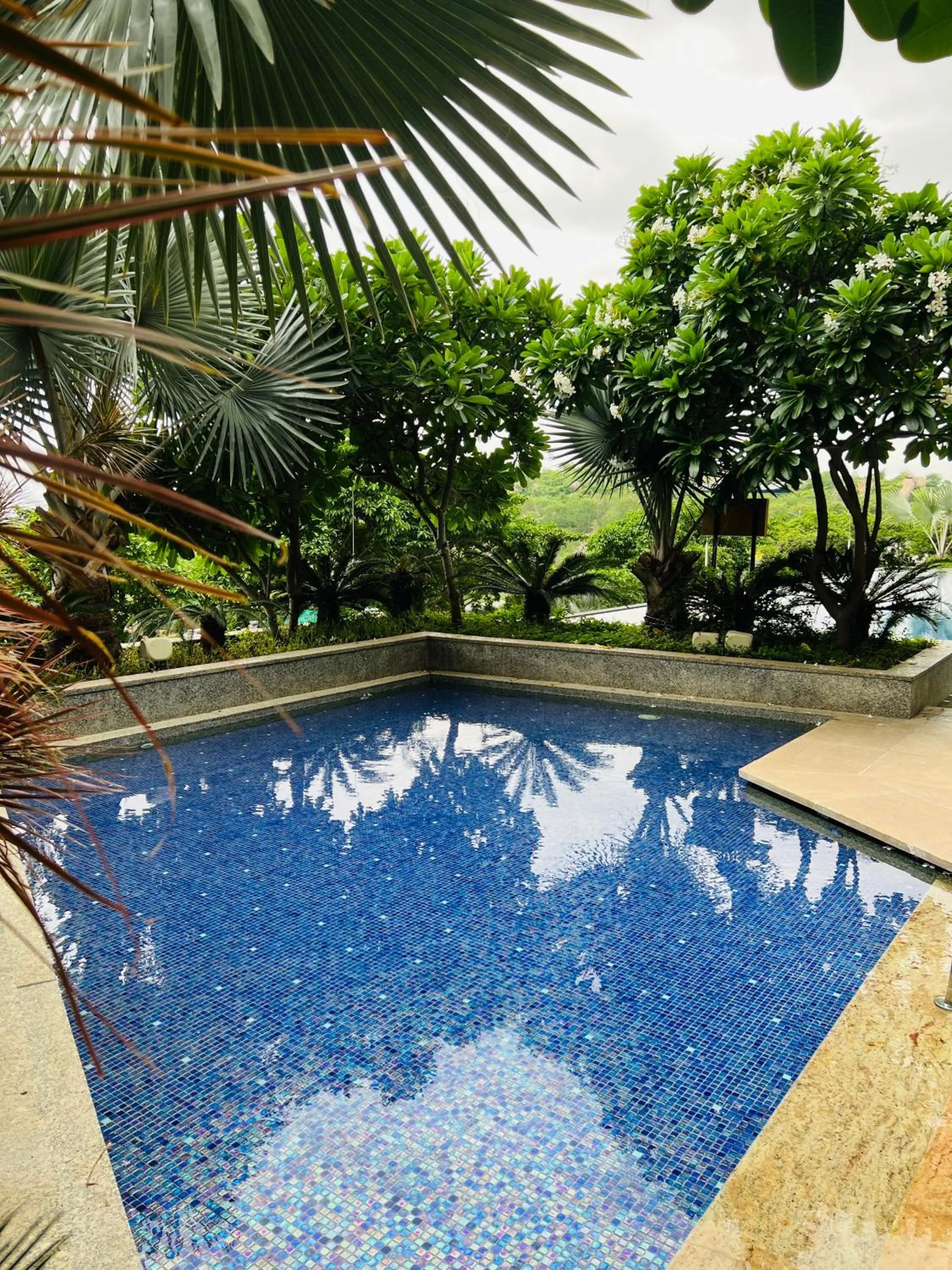 Swimming pool in ITC Kohenur, a Luxury Collection Hotel, Hyderabad