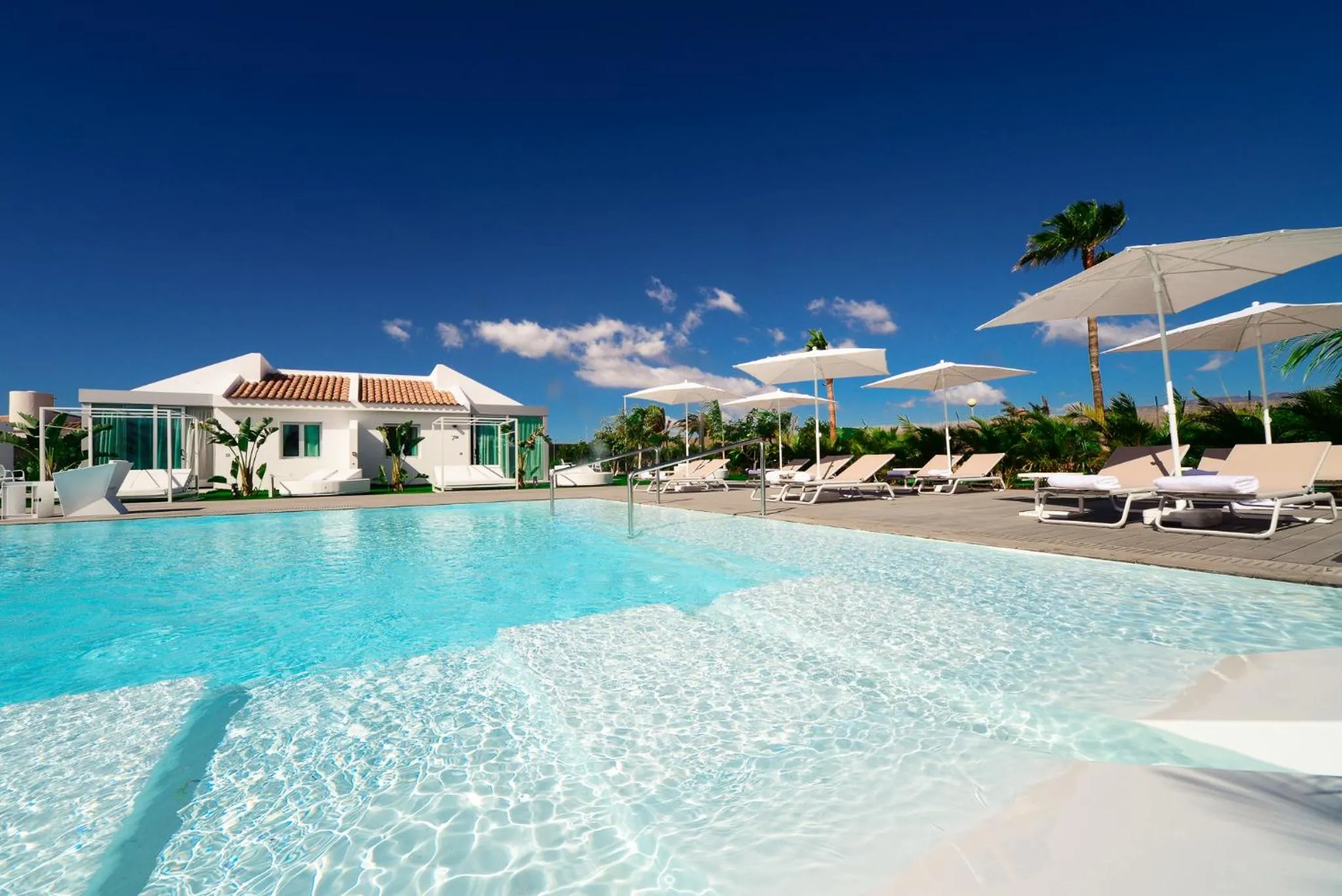 Swimming pool in Seven Hotel & Wellness - Gay Men Only