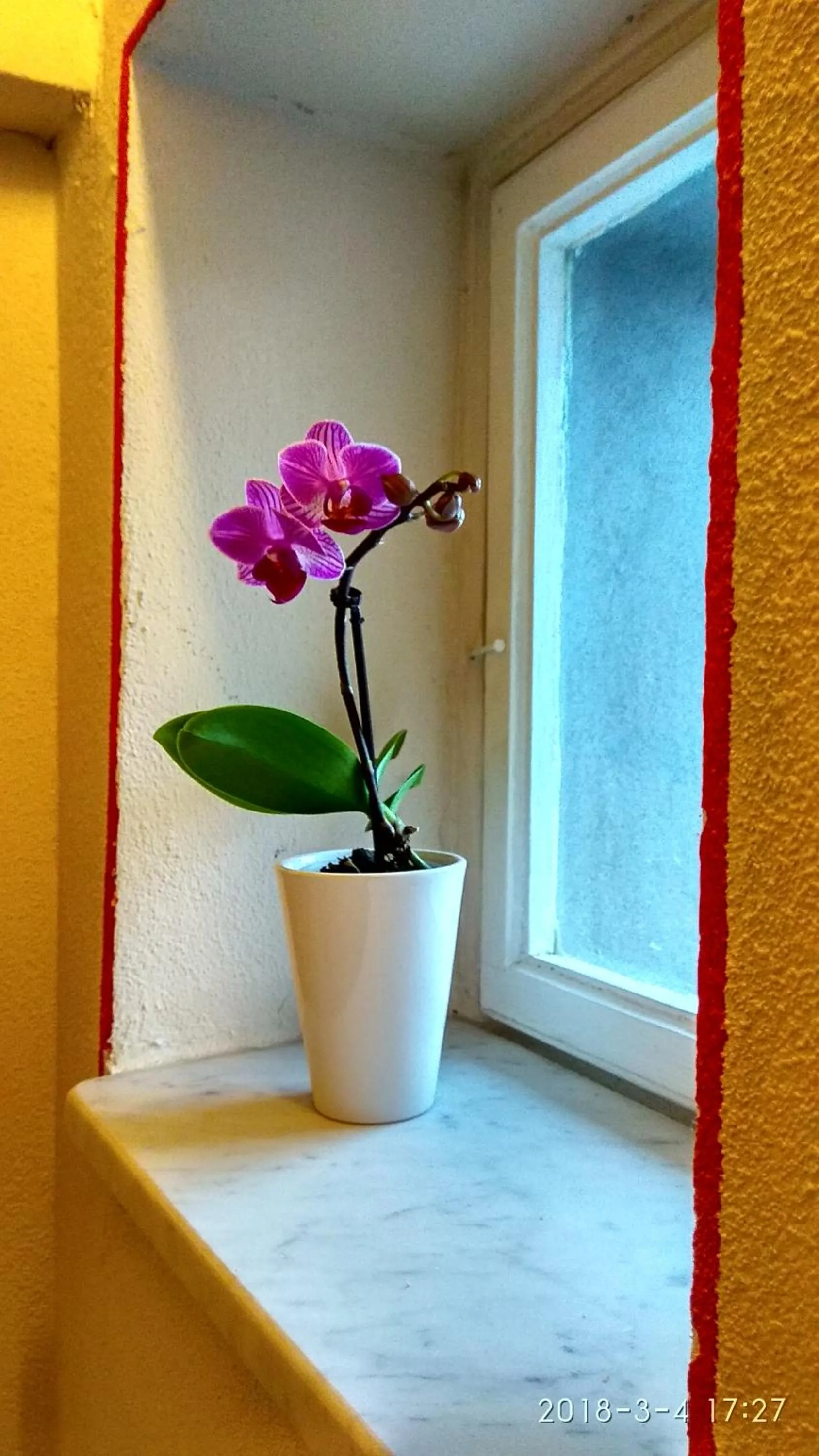 Le rondini di San Donato