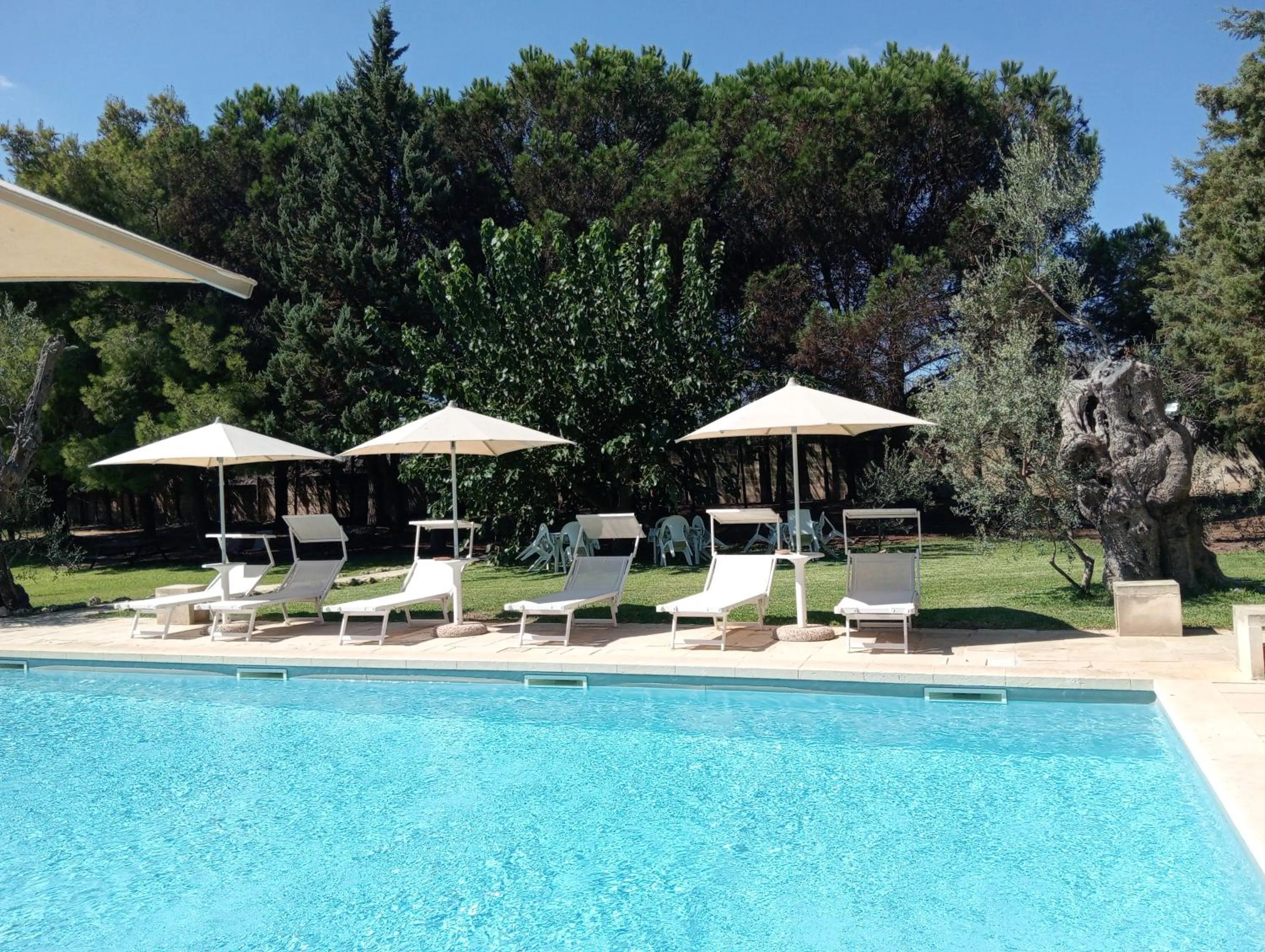 Pool view in Agriturismo Santa Chiara