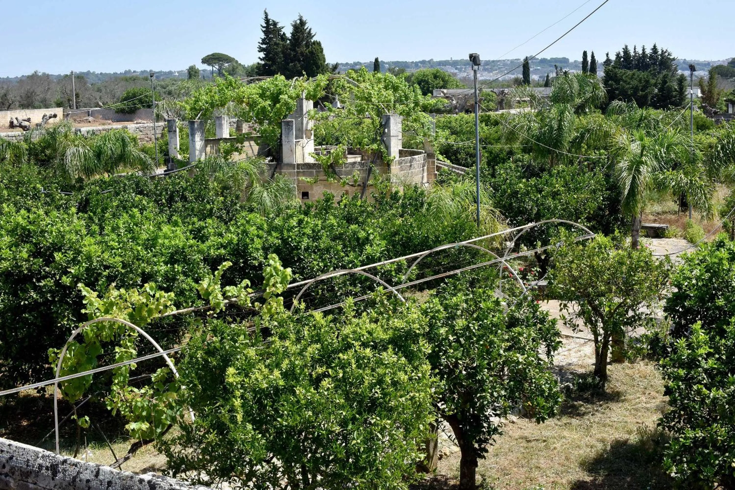 Garden in Agriturismo Santa Chiara