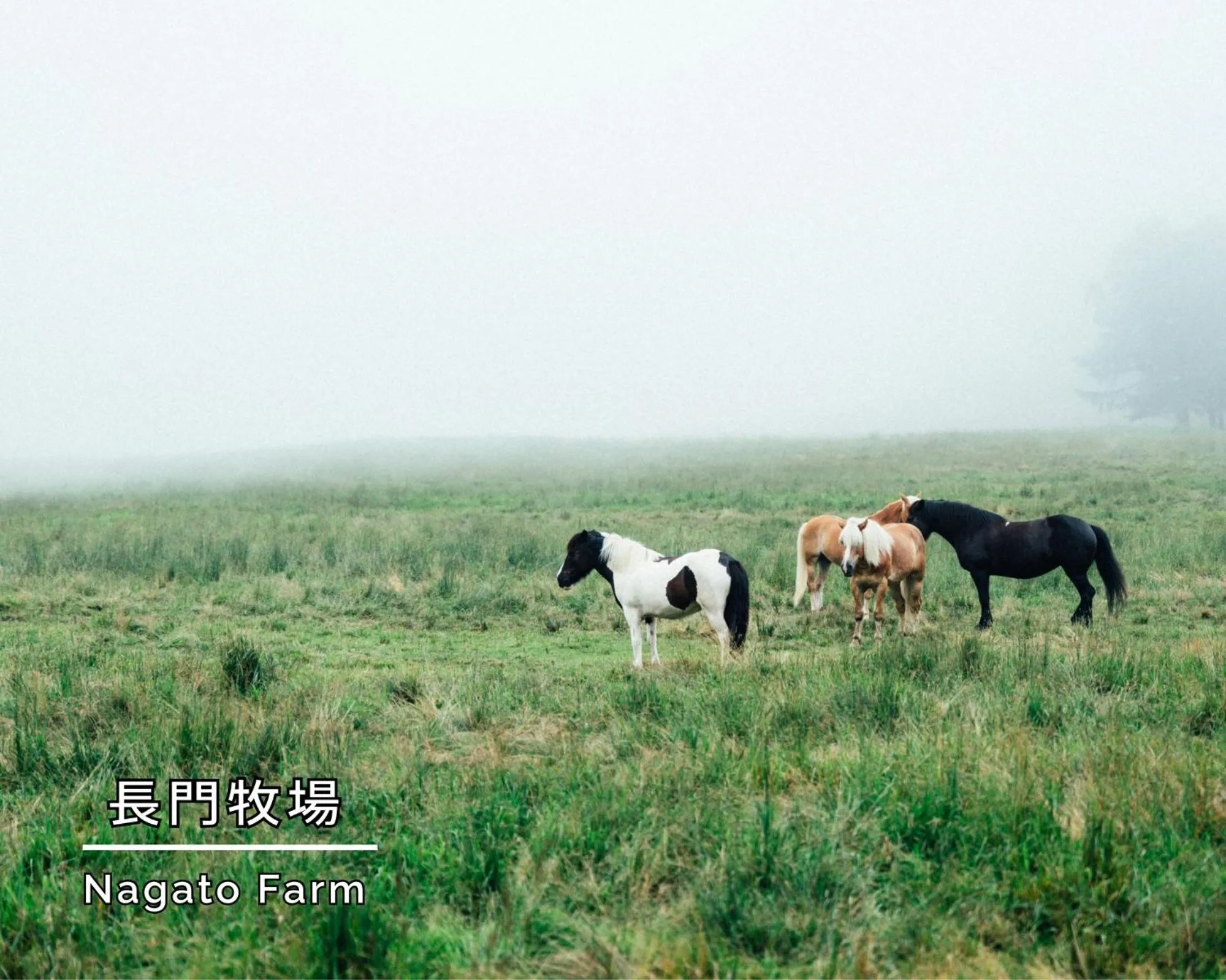 Nearby landmark in Asahikan