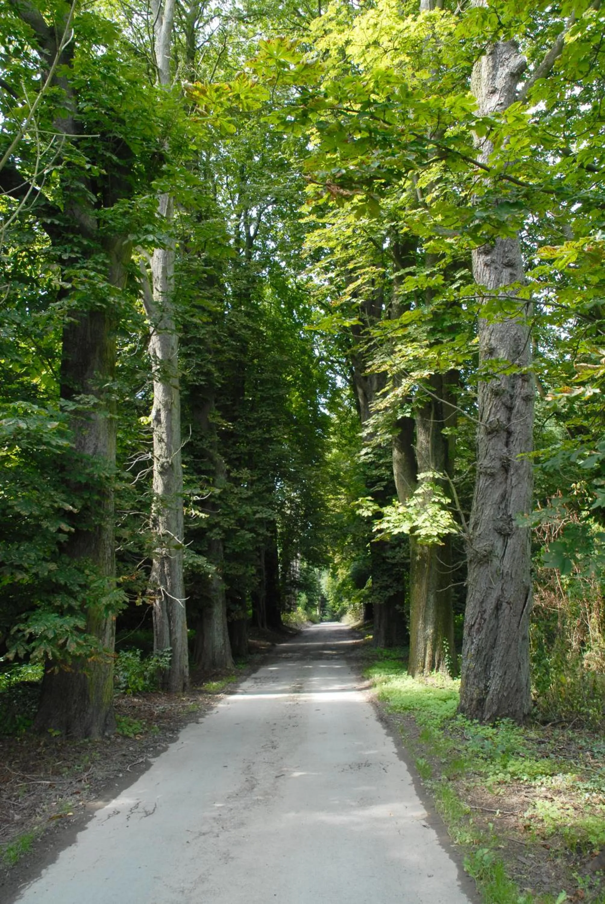 Hotel Restaurant La Ferme de Grambais