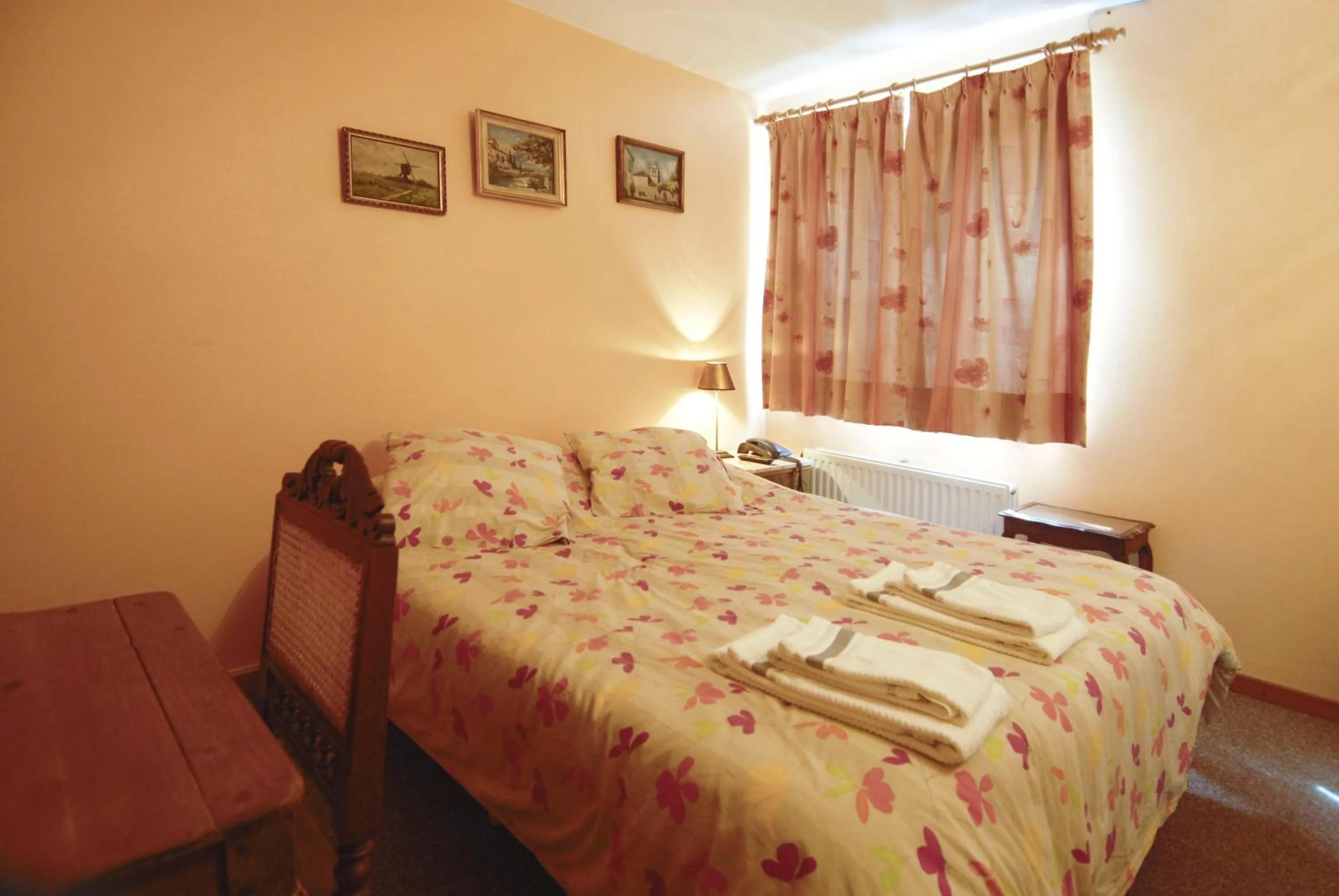 Double Room - single occupancy in Hotel Restaurant La Ferme de Grambais