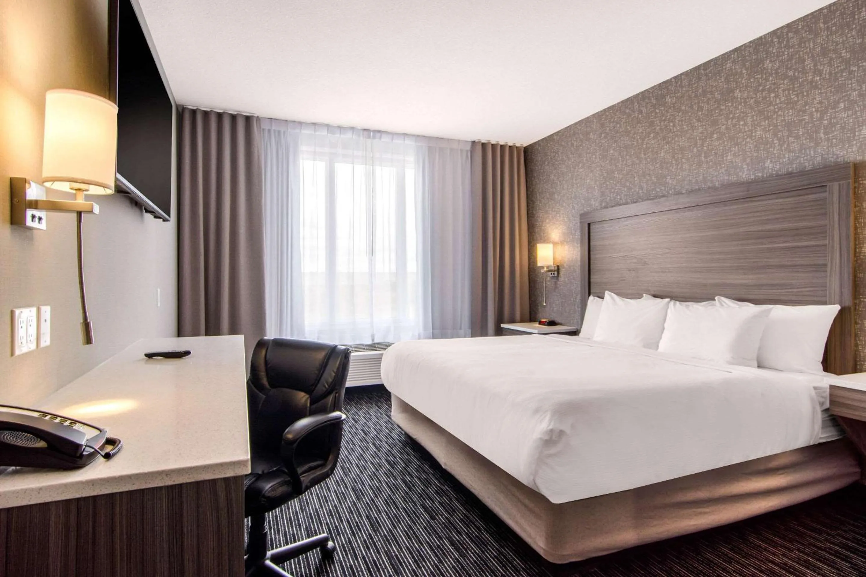 Executive King Suite in Comfort Inn & Suites