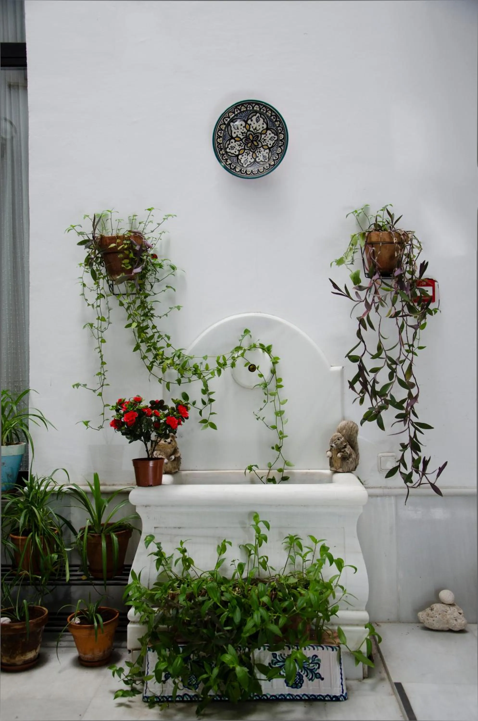 Balcony/Terrace in El Granado Hostel