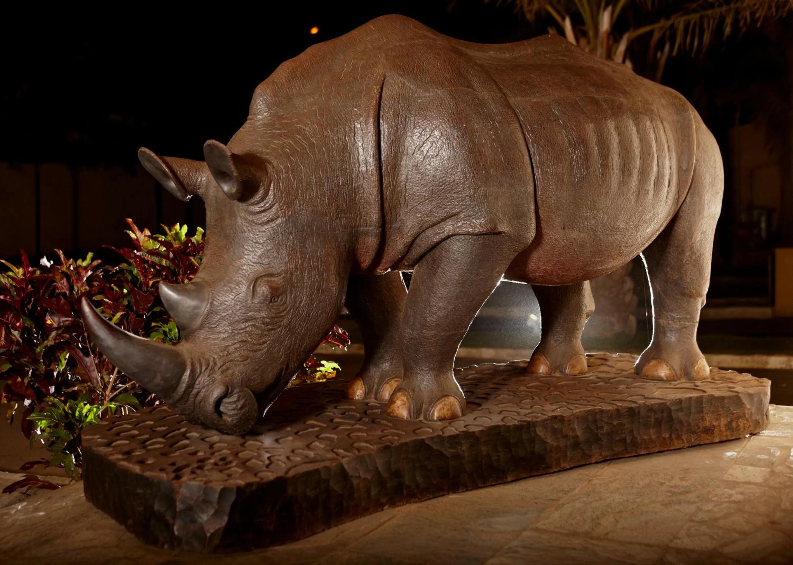 Lobby or reception in The Rhino Resort Hotel & Spa