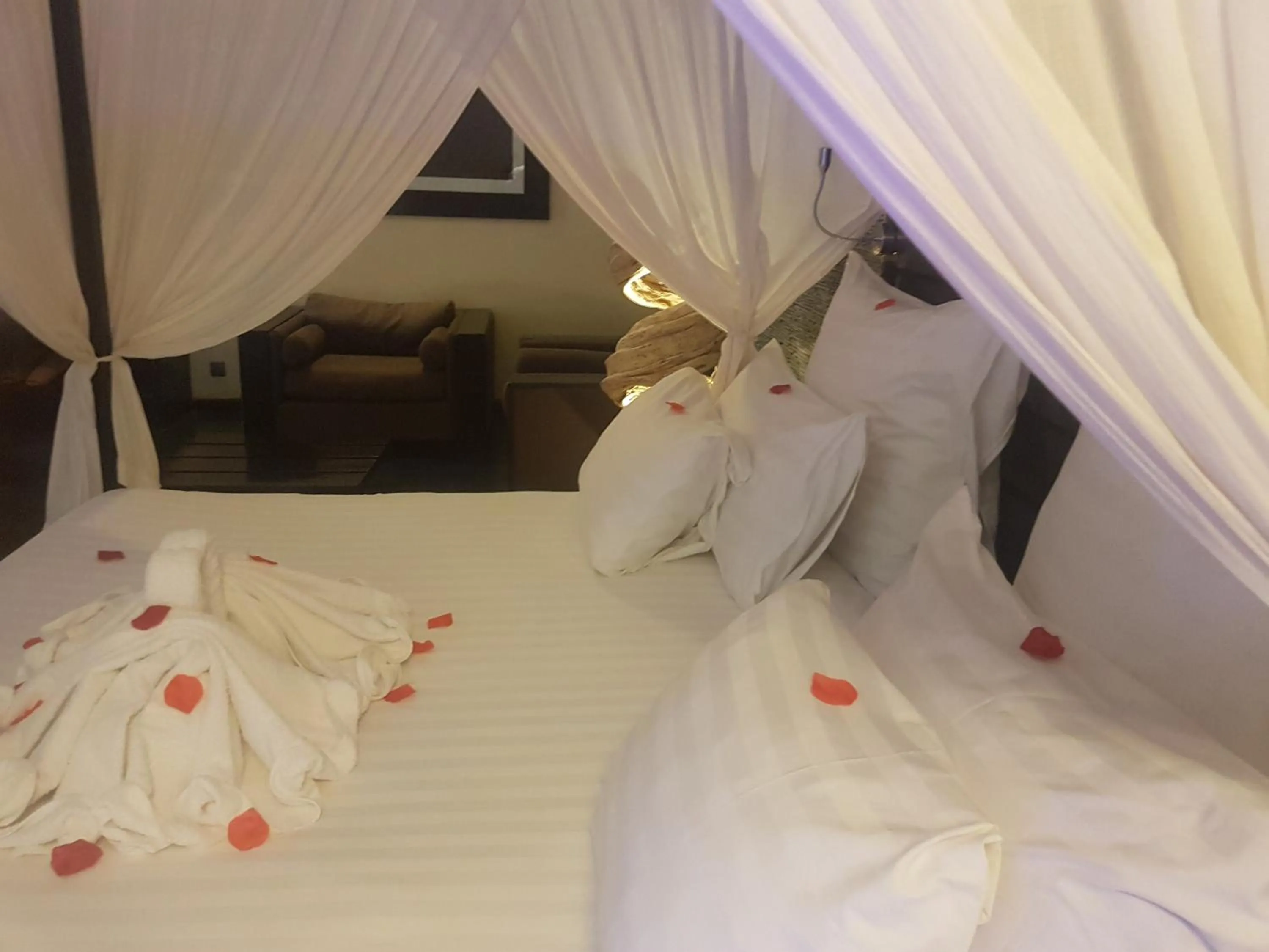 The Rhino Resort Hotel & Spa