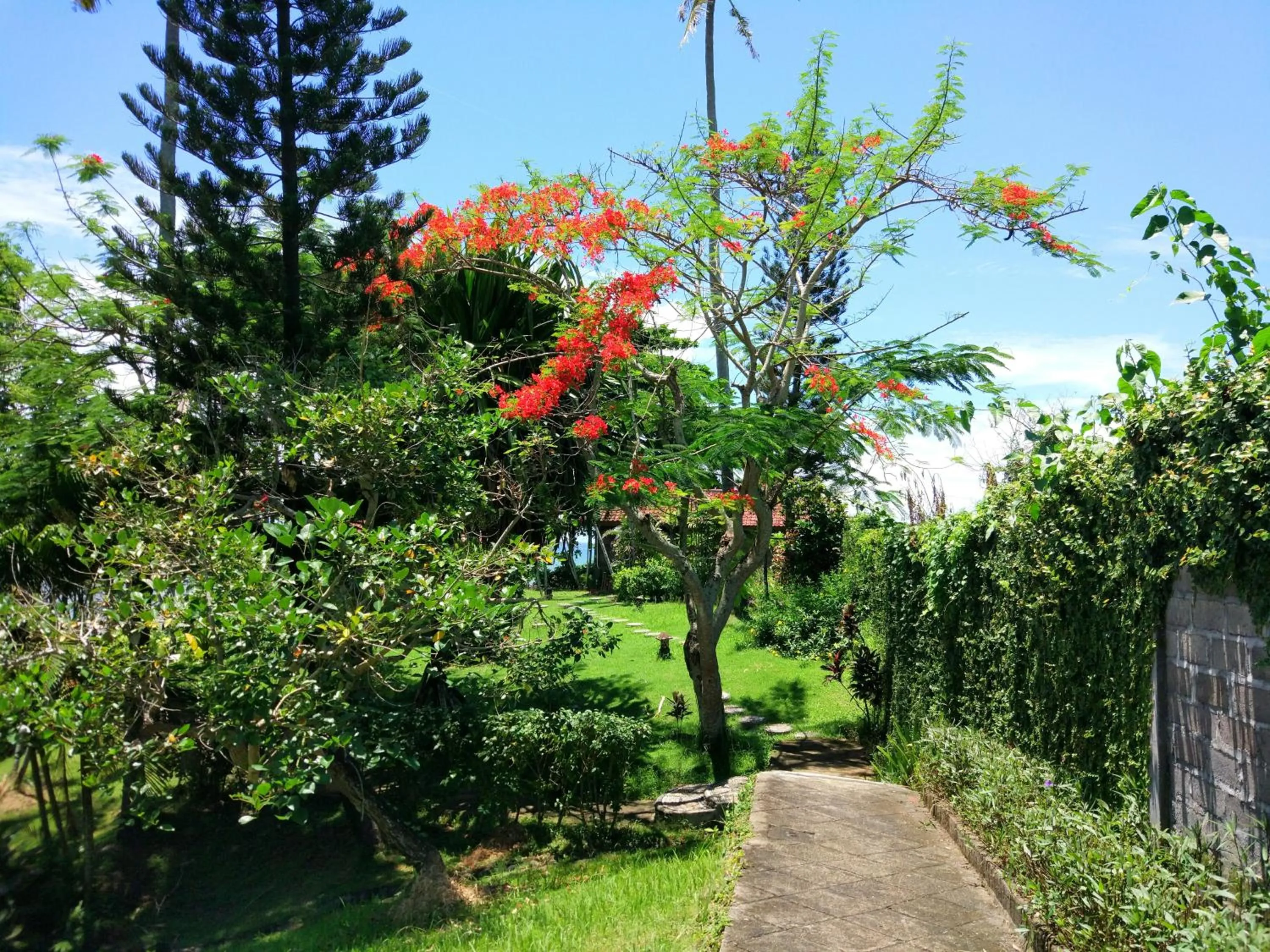 Other in Gajah Mina Beach Resort
