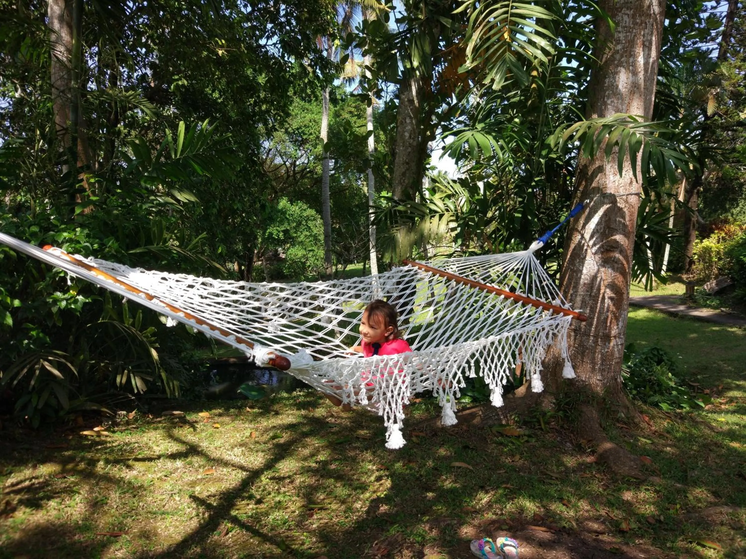 Natural landscape in Gajah Mina Beach Resort