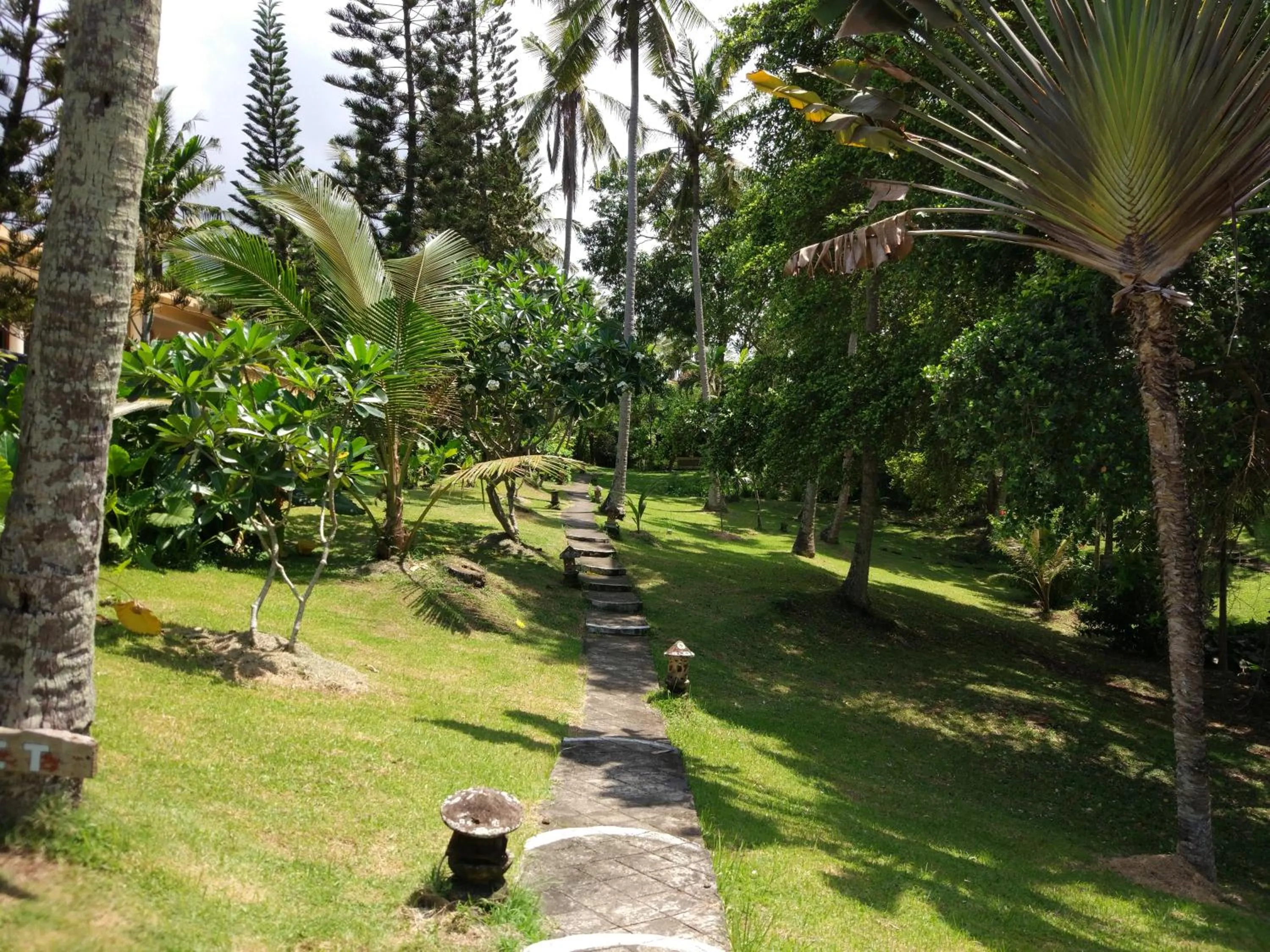 Garden in Gajah Mina Beach Resort