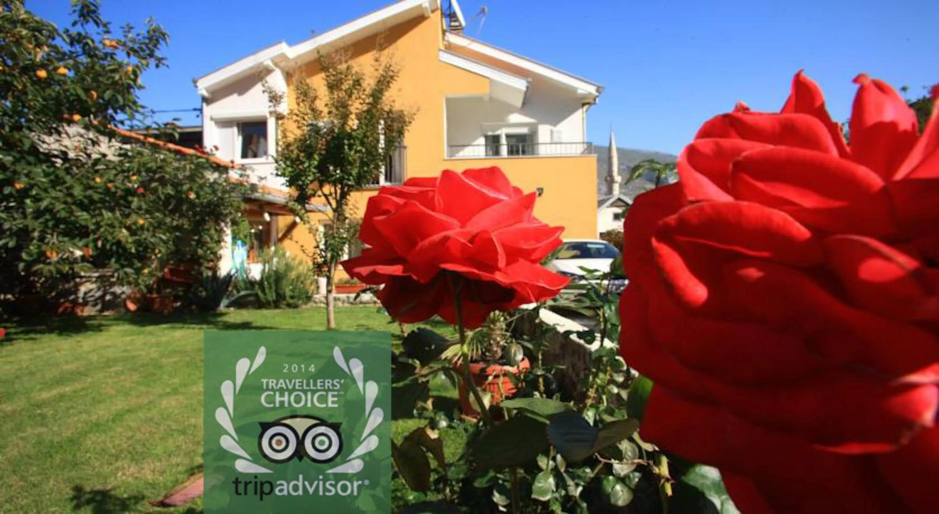 Garden view in Pansion Rose