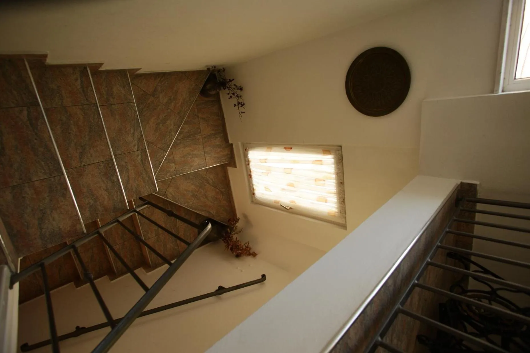 Other in Pansion Rose