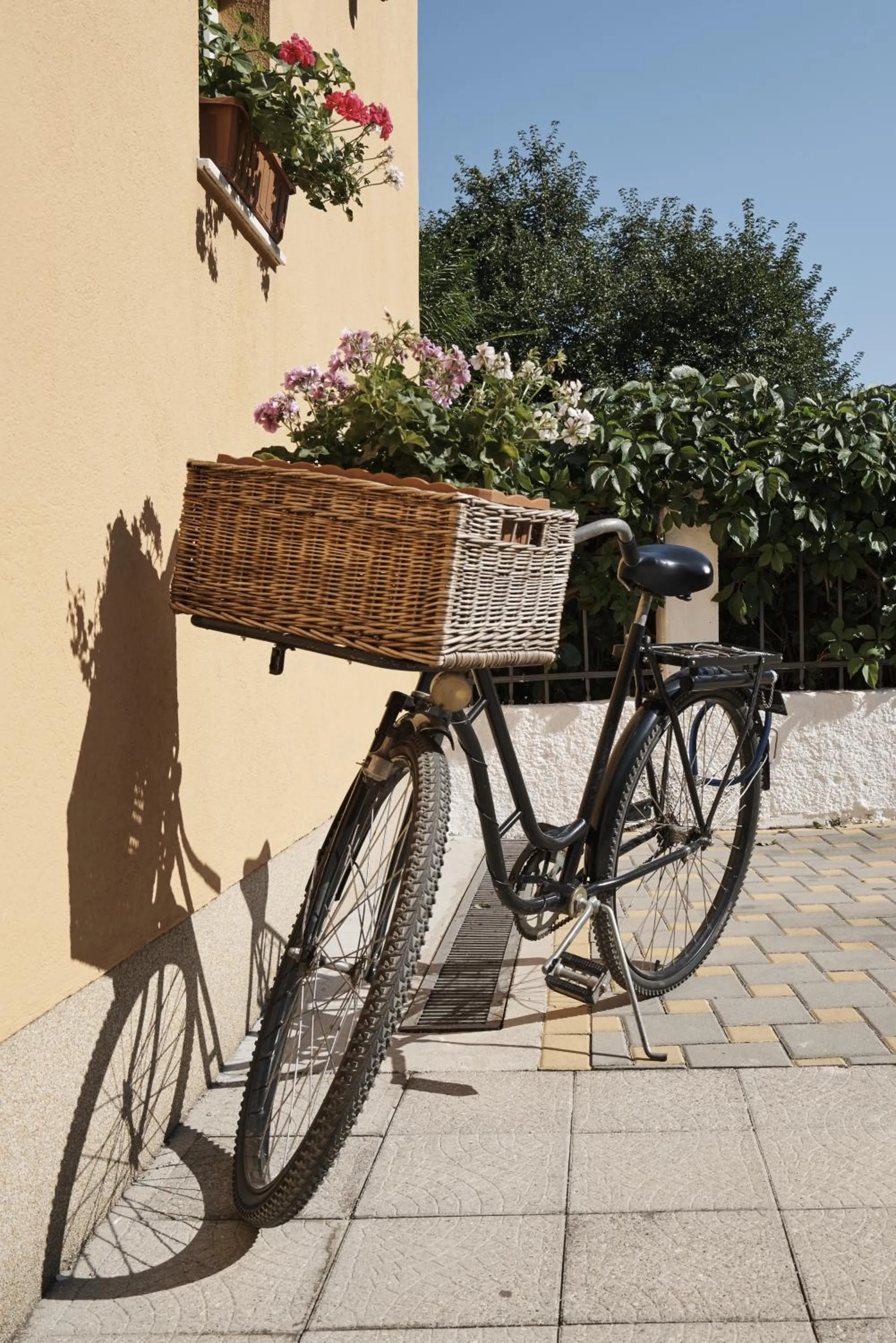 Decorative detail in Pansion Rose