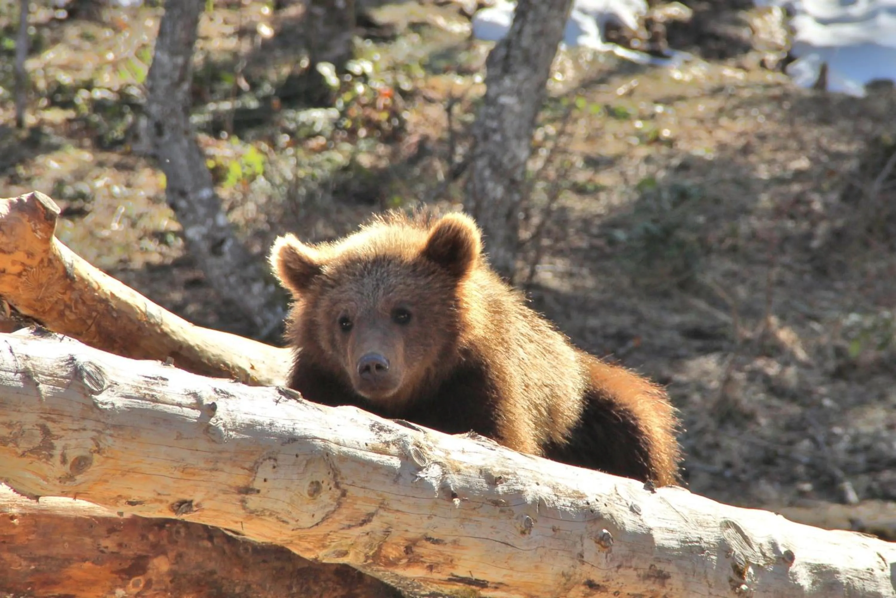 Other in Hotel Garona