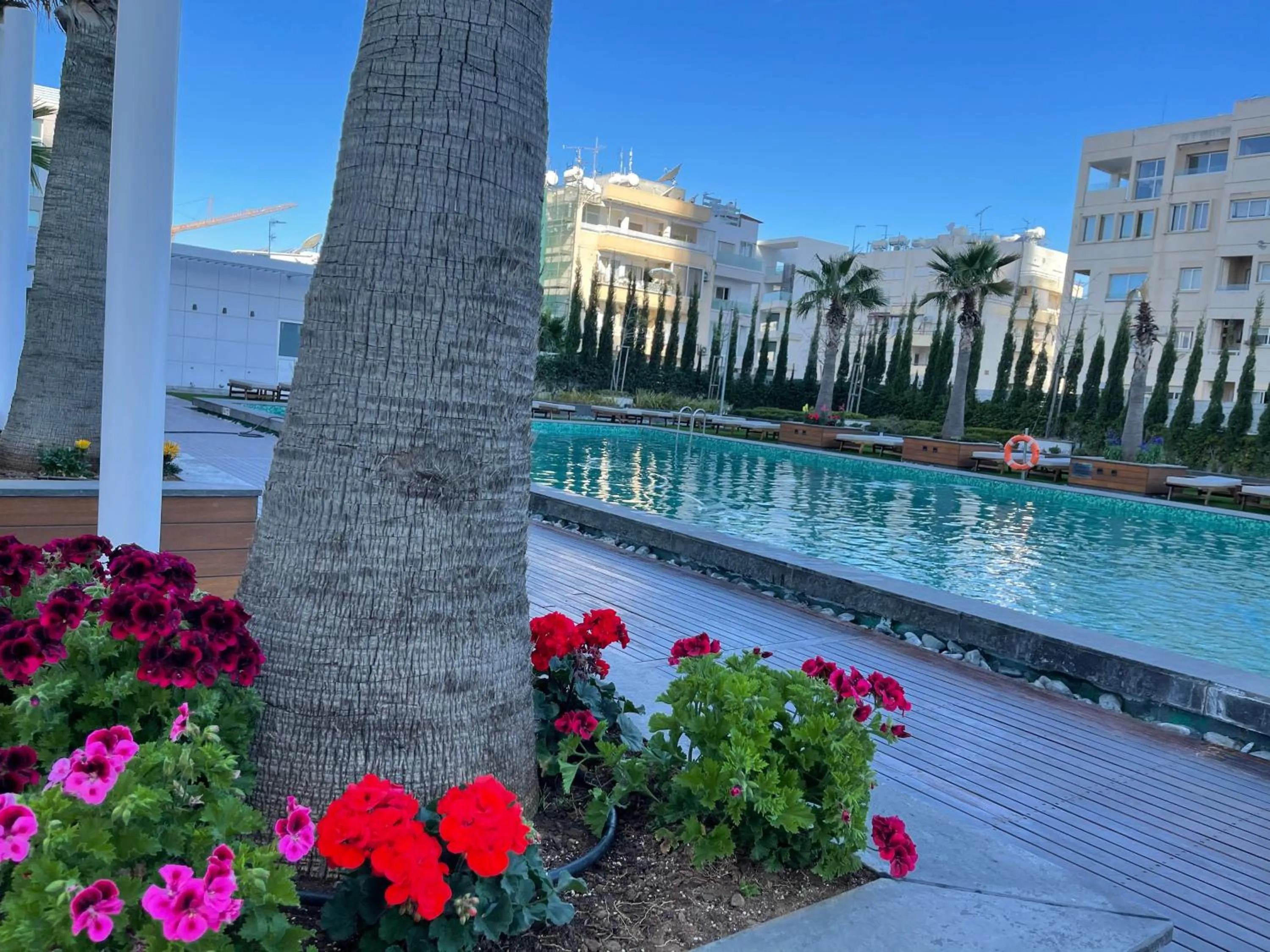 Swimming pool in Olympic Residence Deluxe Apartments