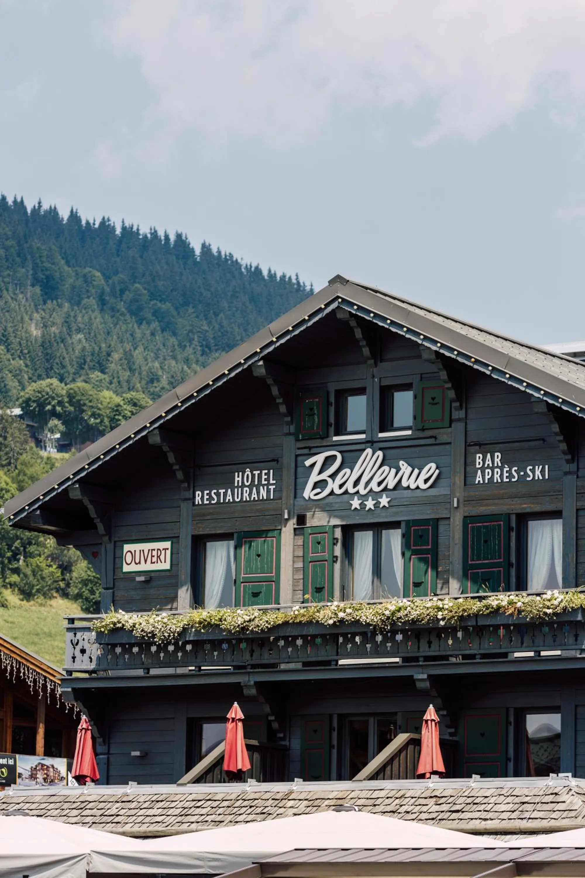 Property building in Bellevue