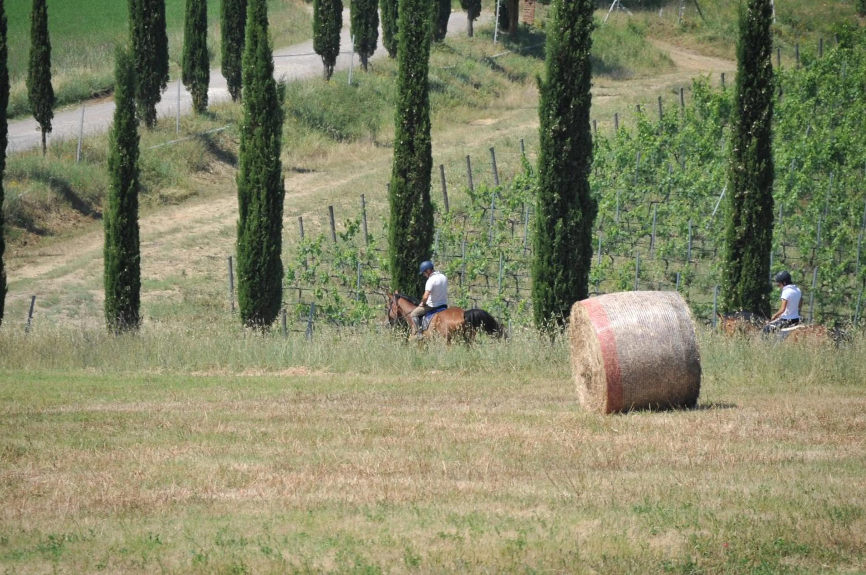 Horse-riding in Tenuta Casabianca