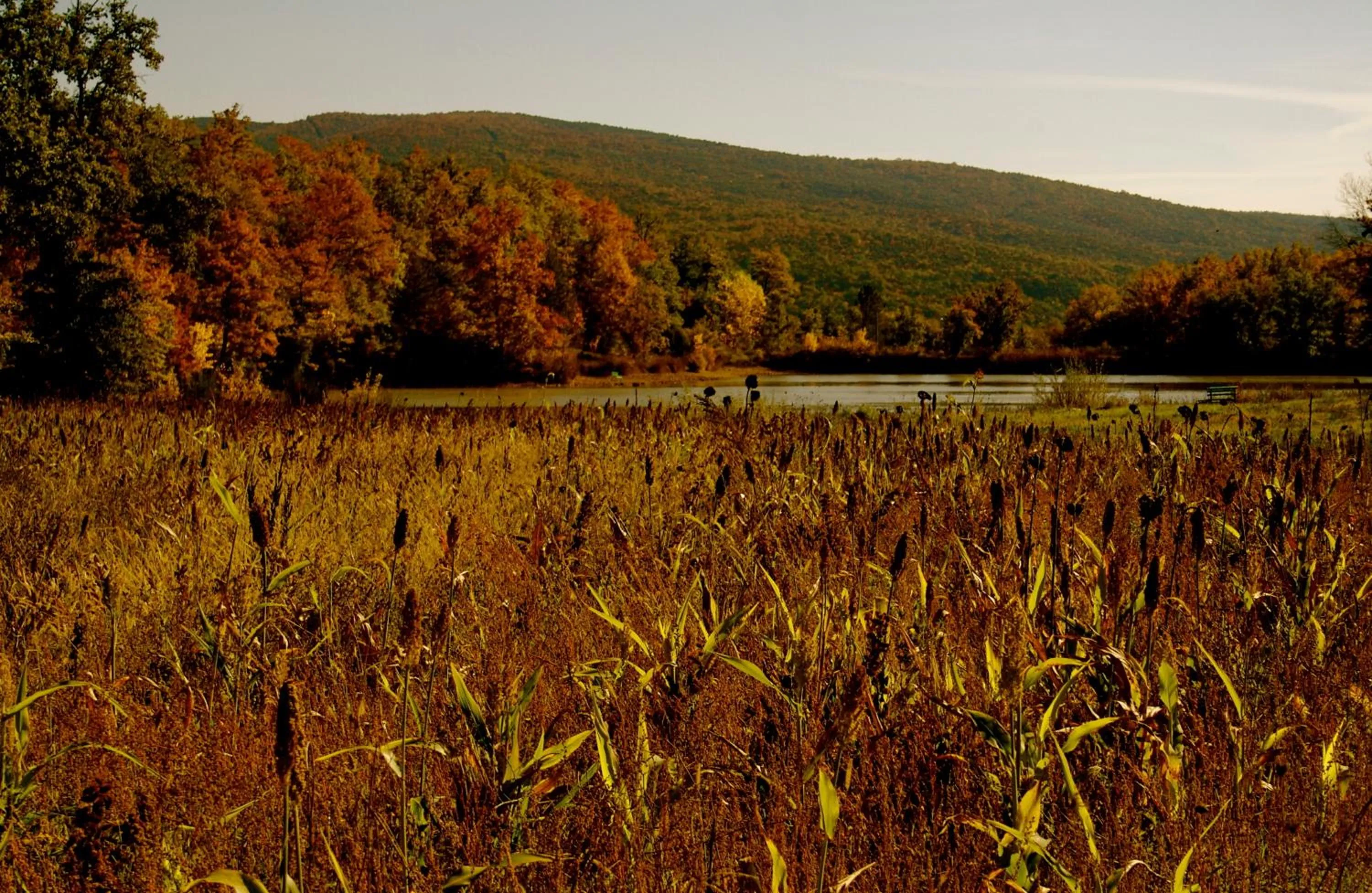 Fishing in Tenuta Casabianca
