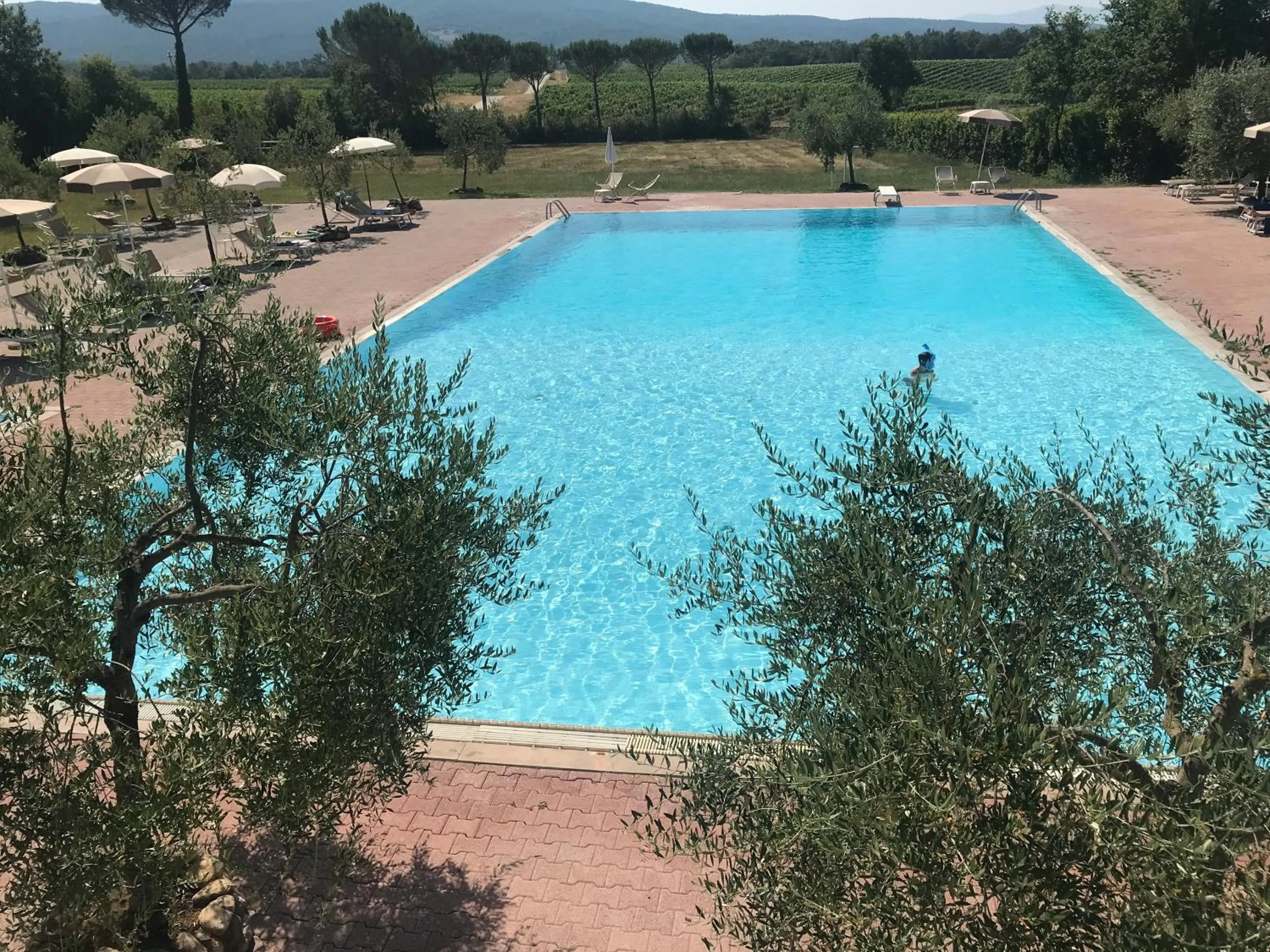 Swimming pool in Tenuta Casabianca