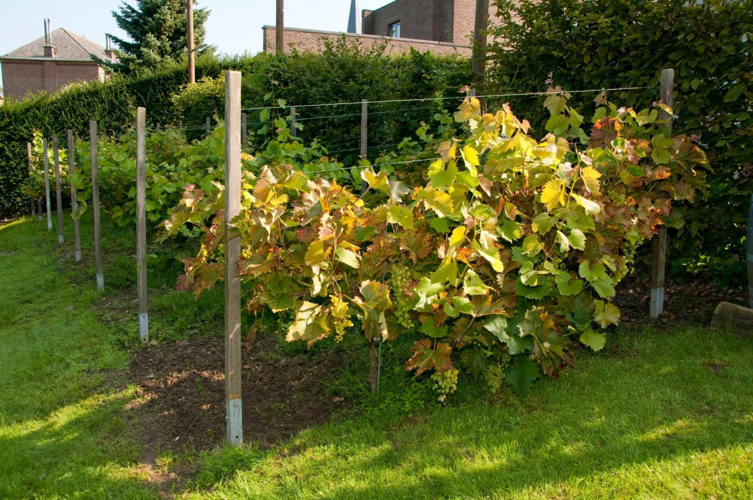 Hotel Gasthof Kapelhof