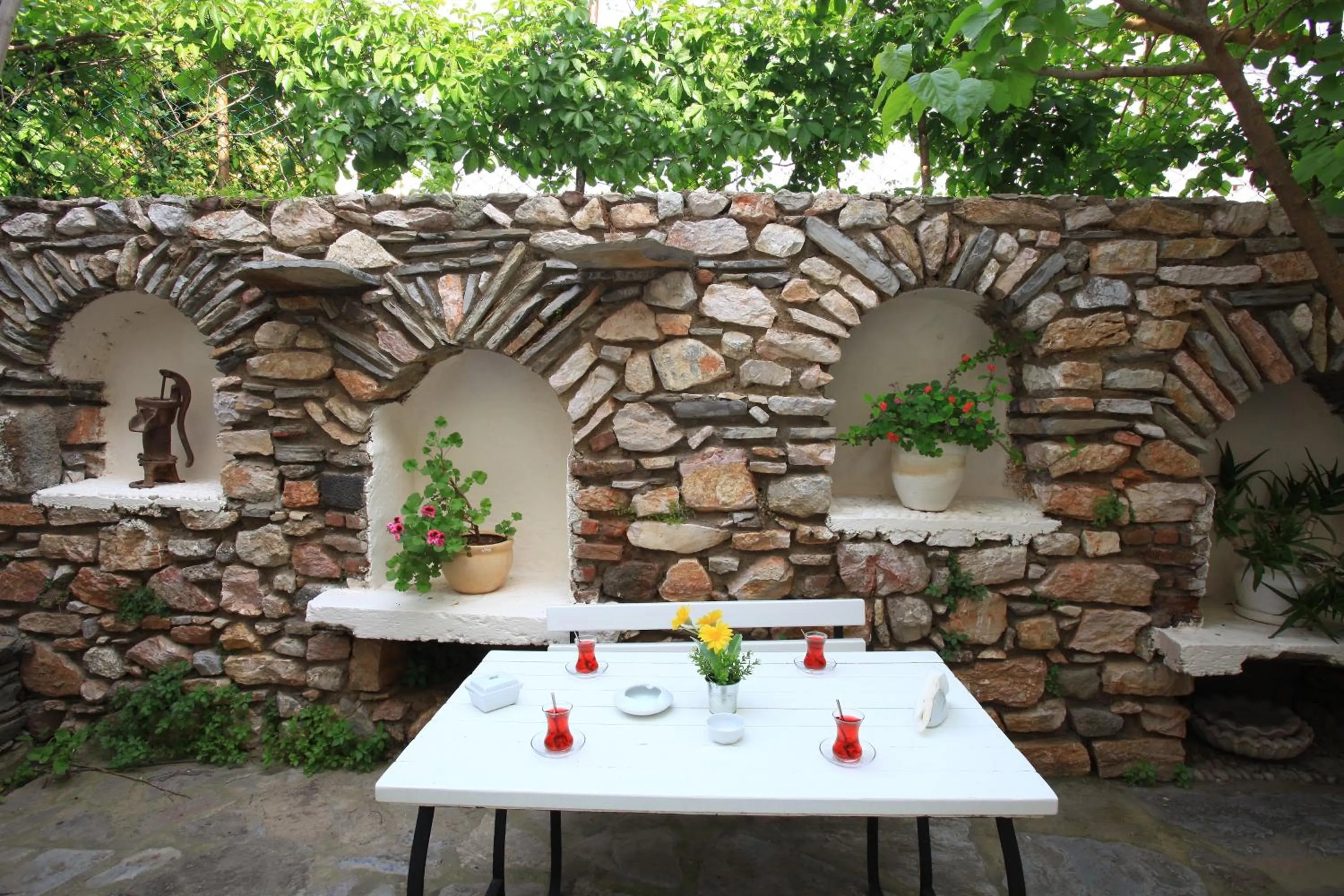 Garden in Albatros Hotel