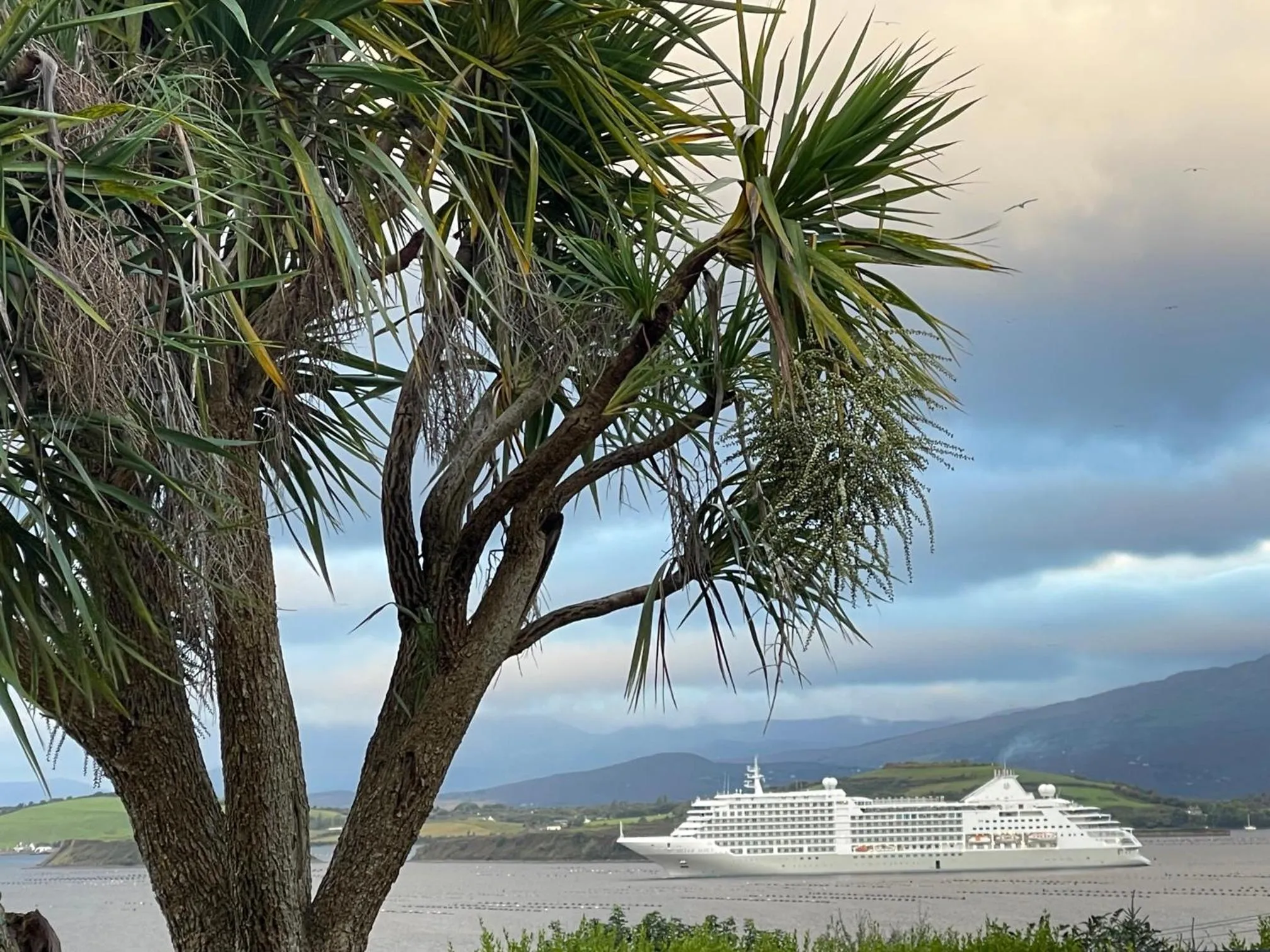 Sea view in Edencrest B&B