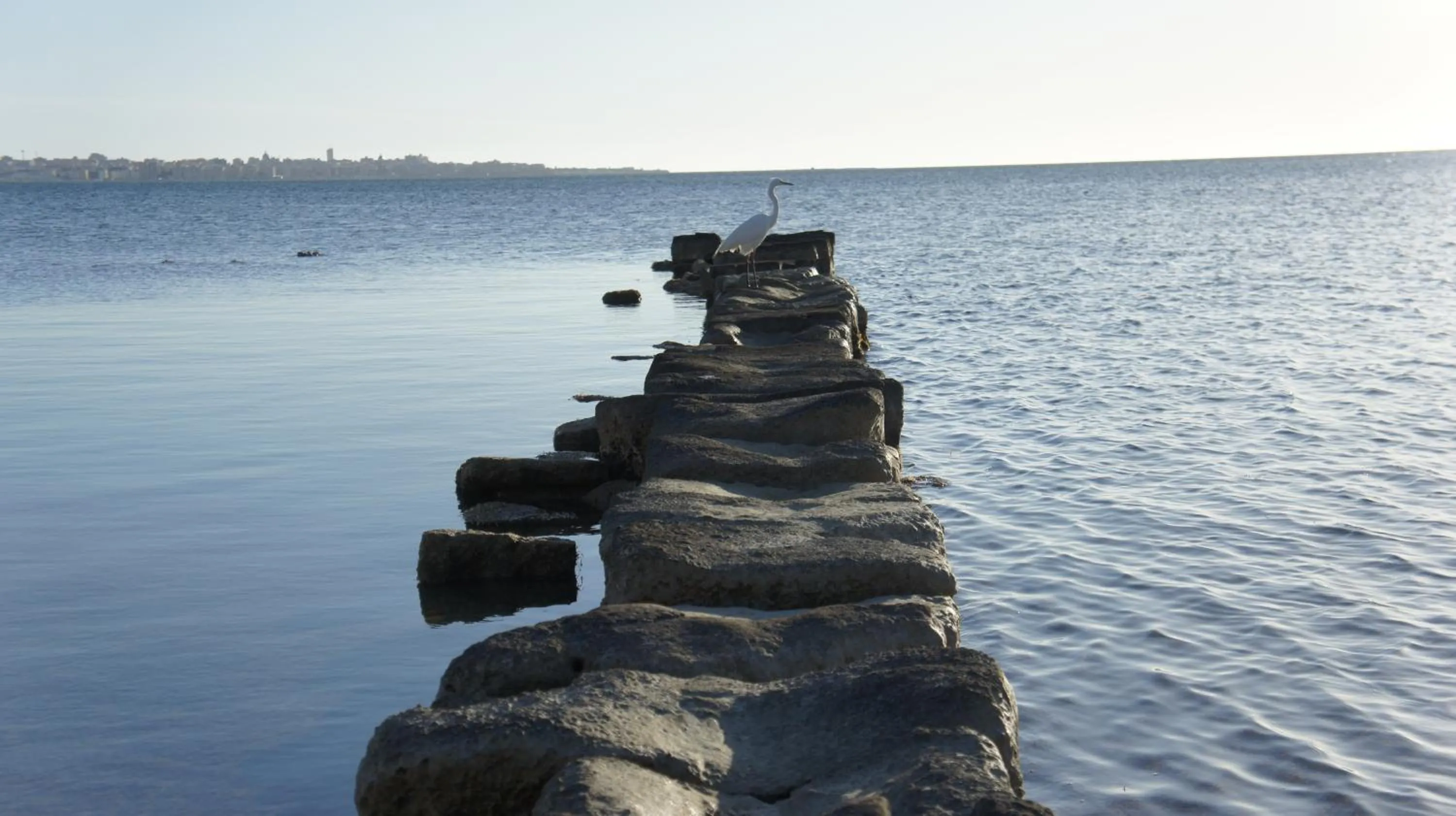 Animals in Relais Lo Stagnone