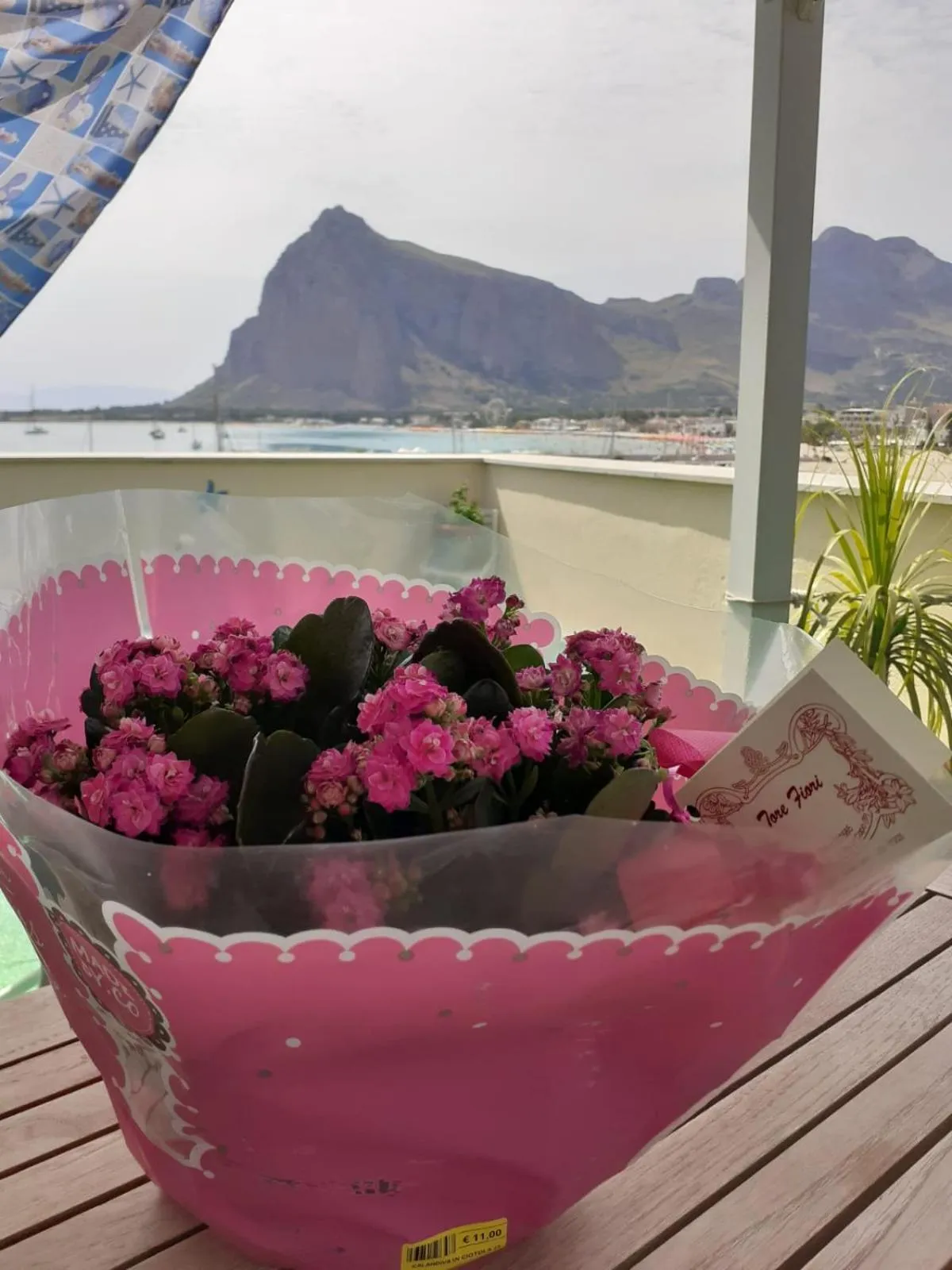 Mountain view in Il Torrazzo da Francesca